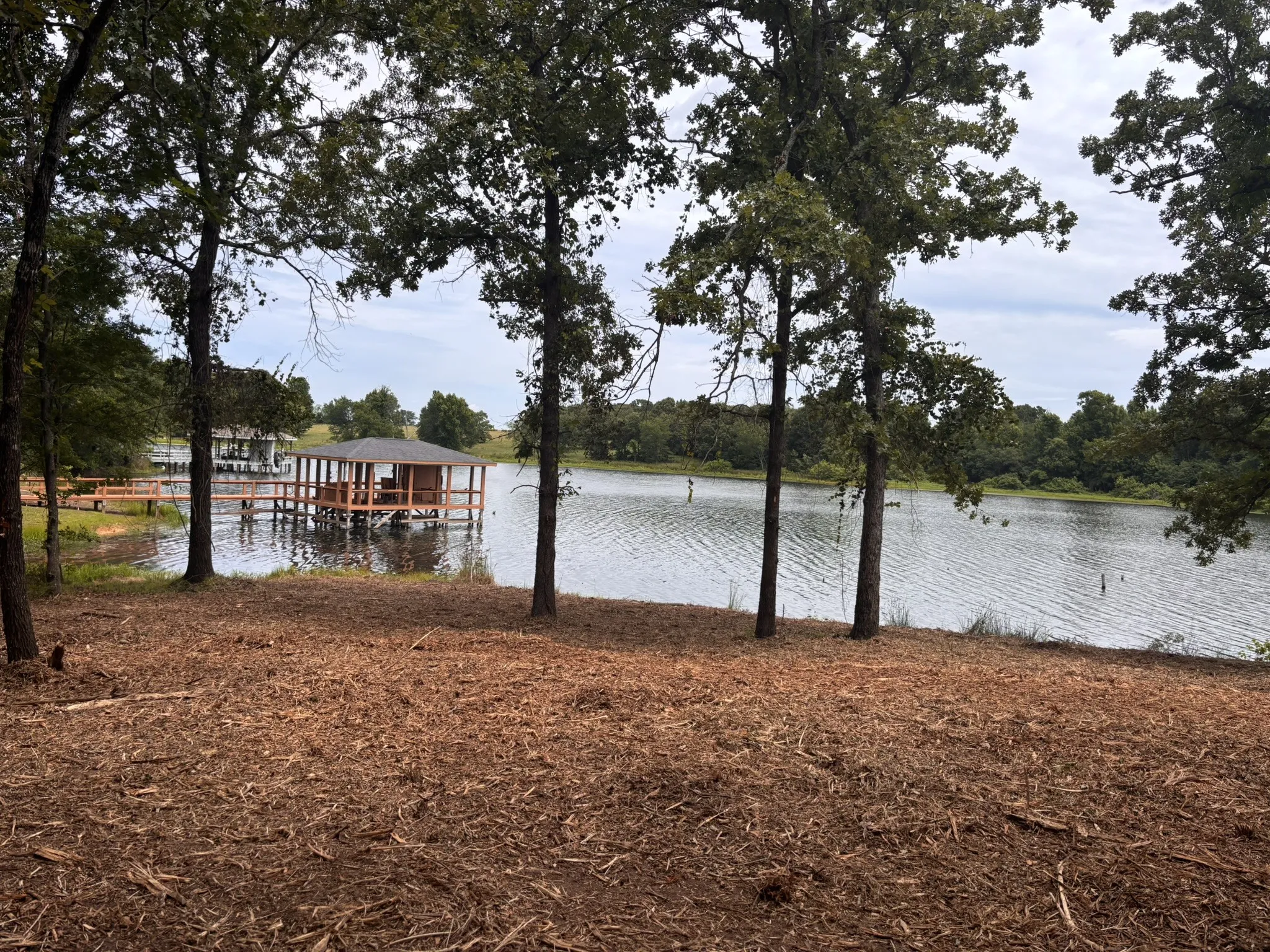 Unimproved Land For Sale in Wood County , TBD CR 1503, Alba, Texas 75410, 0, 0, Garage spaces, 0 Sqft, built in 0, mls#21195081, Real Estate Agent in Alba, Homes For Sale in Wood county, Homes For Sale in Alba, Realtor in Alba Texas, Real Estate Brokerage Independent Realty Texas, Luminita Cordes Realtor