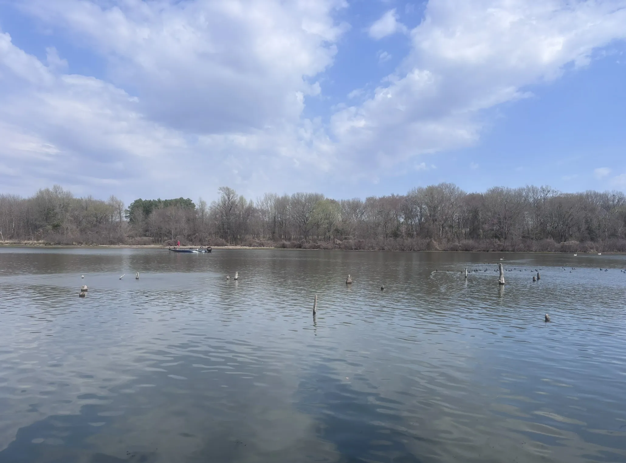 View of the water from shoreline