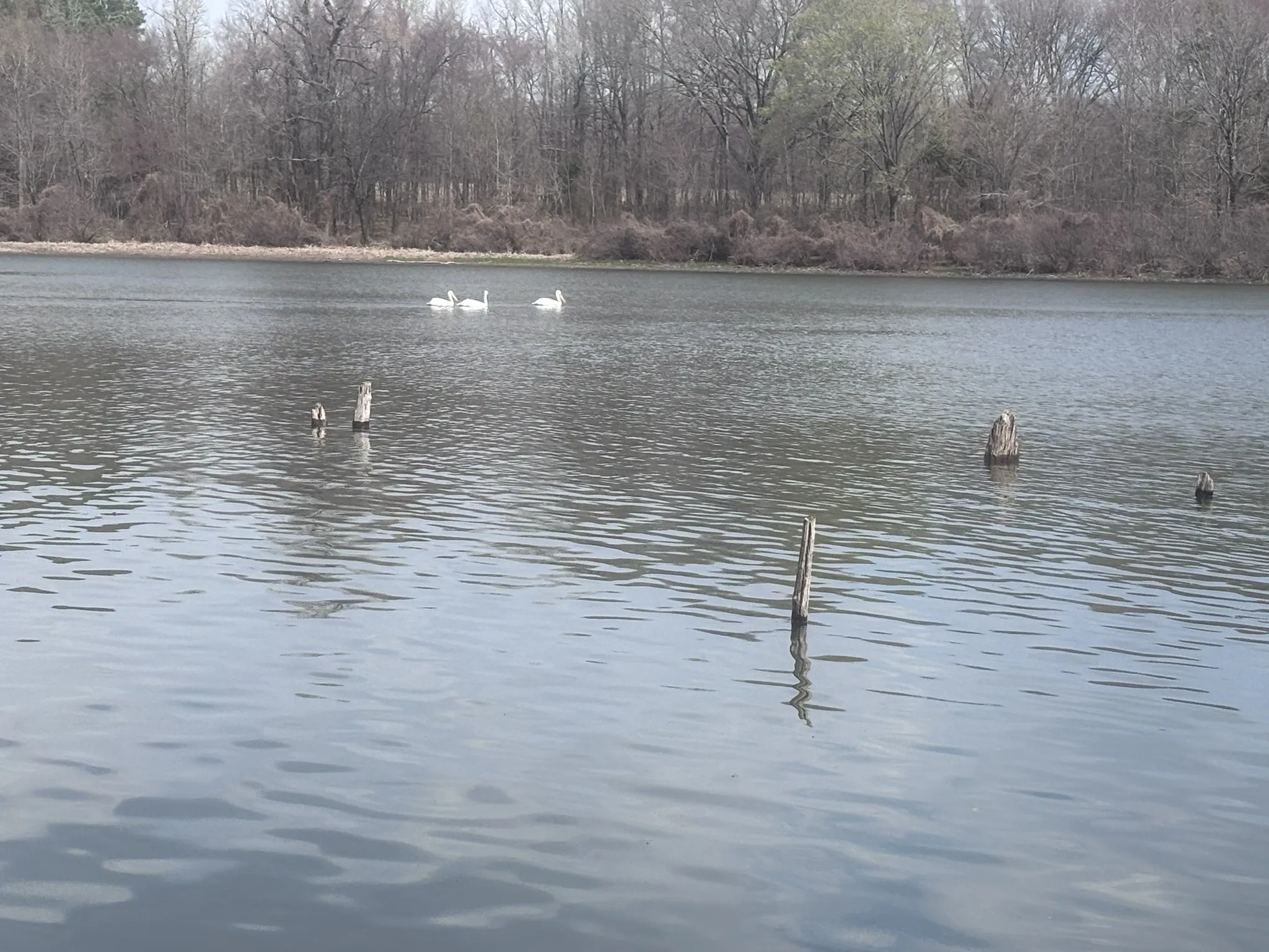 View of the water from the shoreline