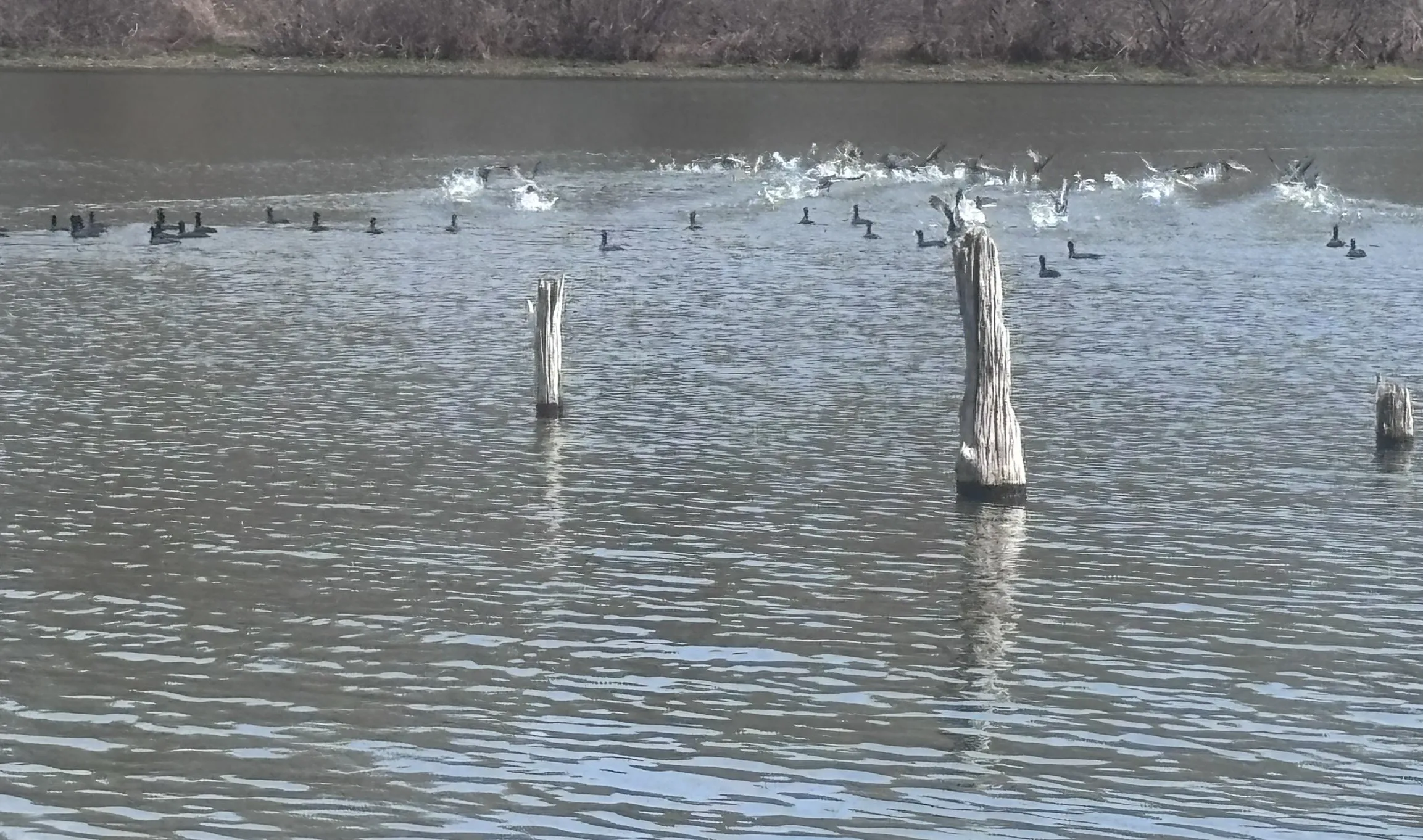 View of the water from shoreline