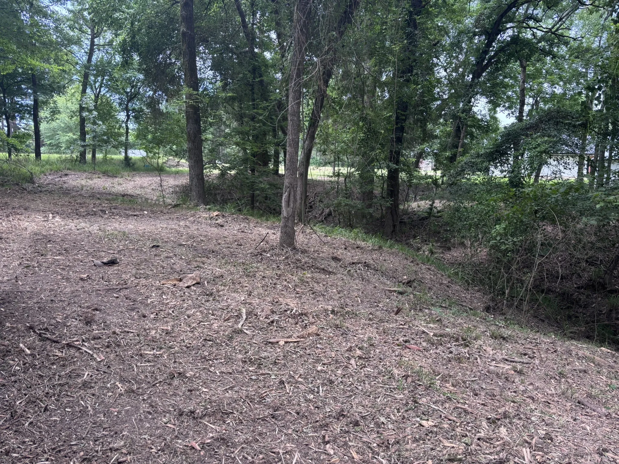 From Mid Lot down toward the water