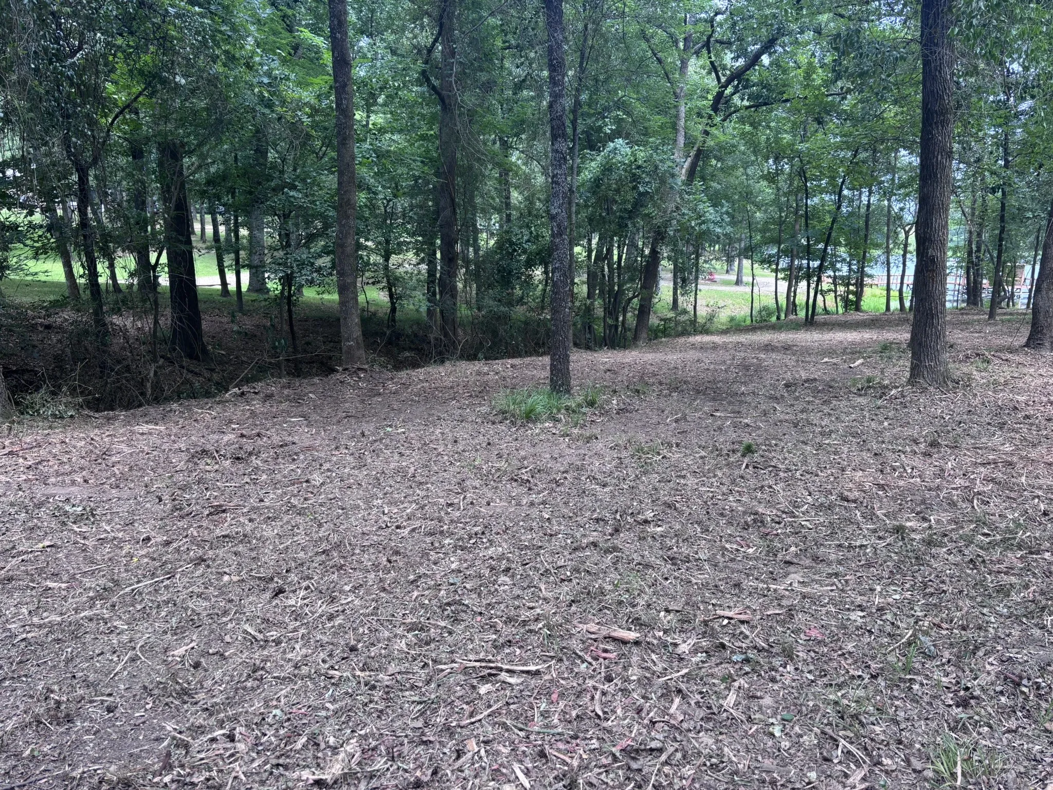 Unimproved Land For Sale in Wood County , TBD CR 1503, Alba, Texas 75410, 0, 0, Garage spaces, 0 Sqft, built in 0, mls#21195081, Real Estate Agent in Alba, Homes For Sale in Wood county, Homes For Sale in Alba, Realtor in Alba Texas, Real Estate Brokerage Independent Realty Texas, Luminita Cordes Realtor