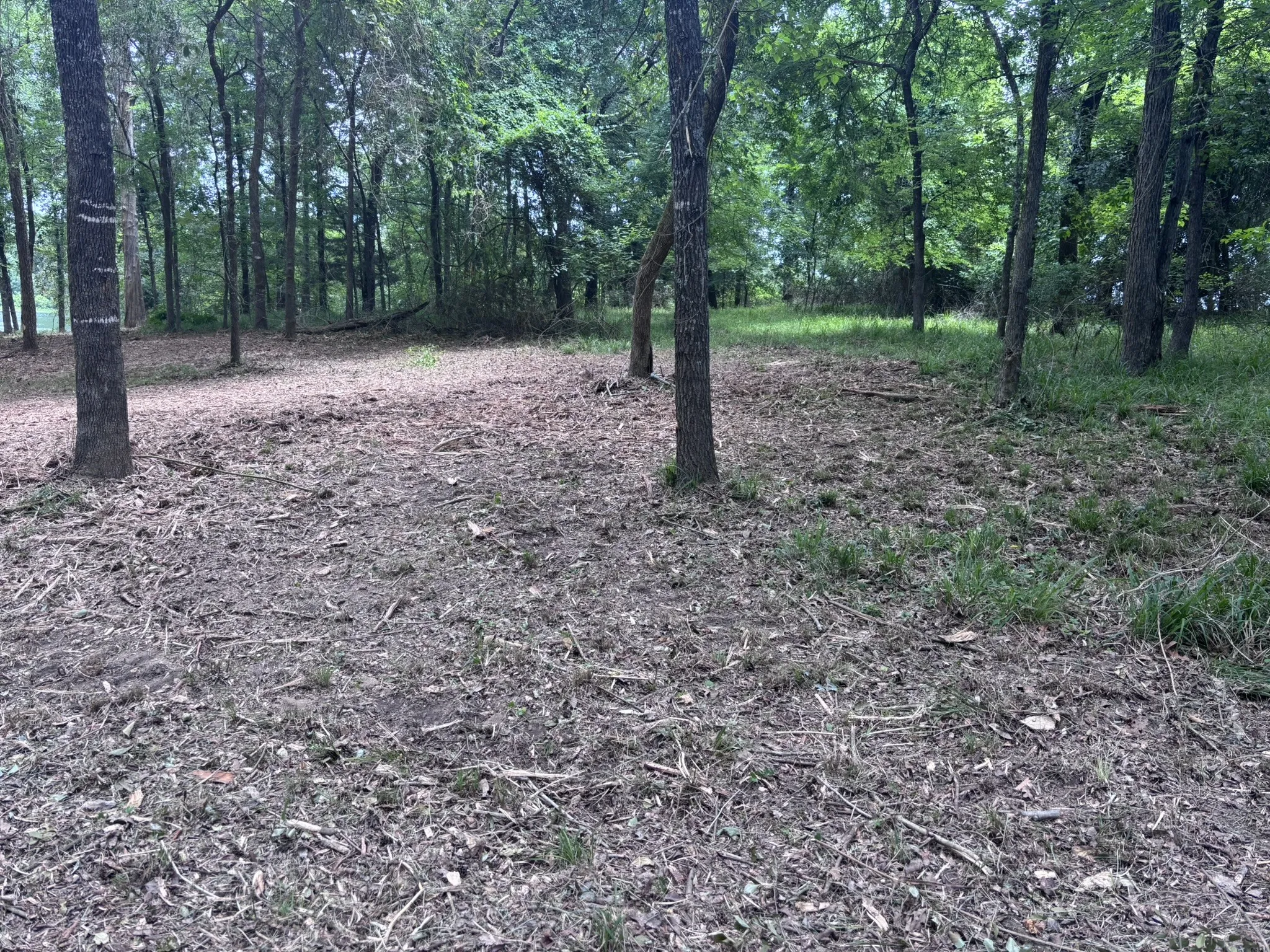 Unimproved Land For Sale in Wood County , TBD CR 1503, Alba, Texas 75410, 0, 0, Garage spaces, 0 Sqft, built in 0, mls#21195081, Real Estate Agent in Alba, Homes For Sale in Wood county, Homes For Sale in Alba, Realtor in Alba Texas, Real Estate Brokerage Independent Realty Texas, Luminita Cordes Realtor