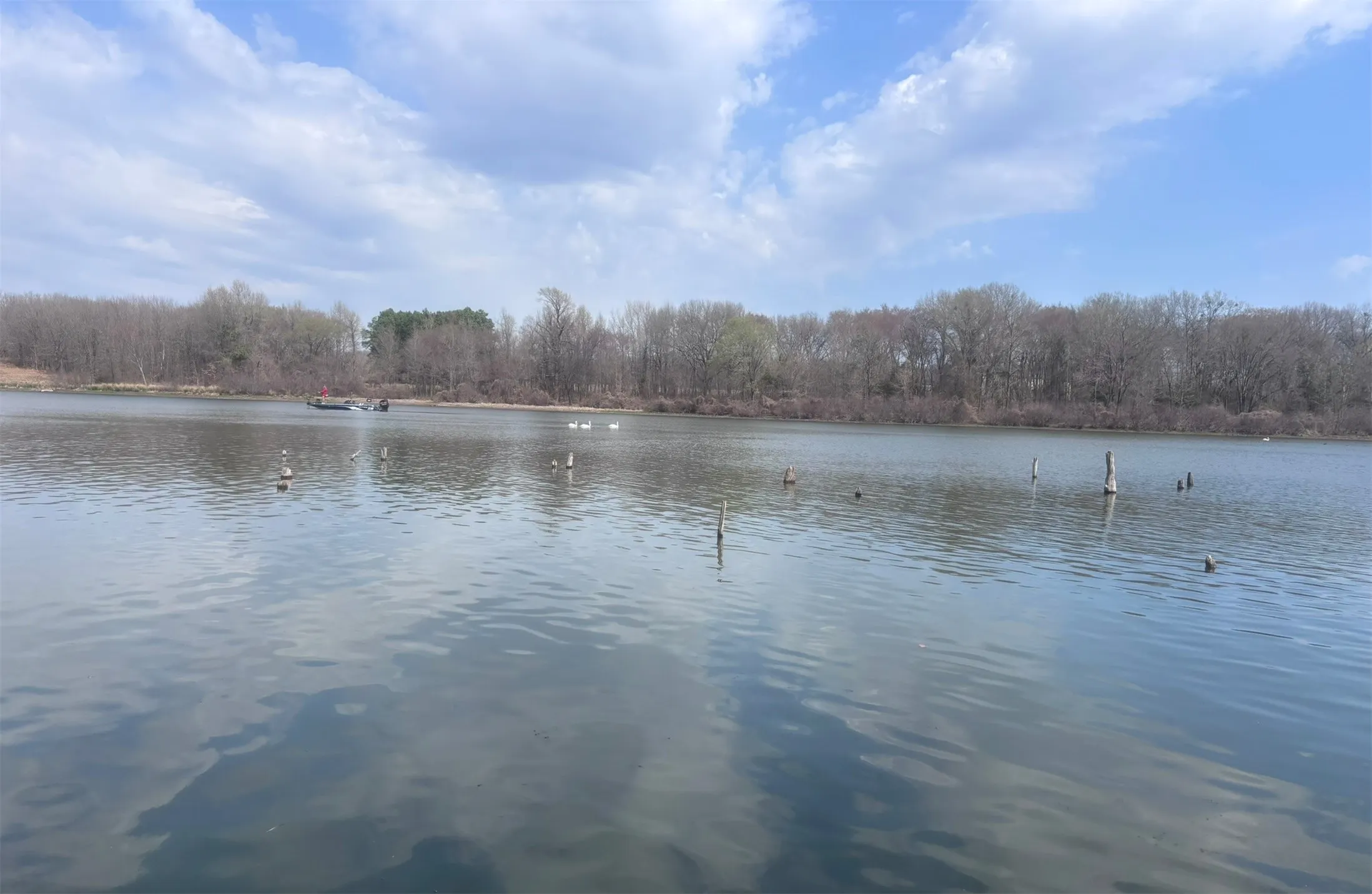 View of the water from shoreline