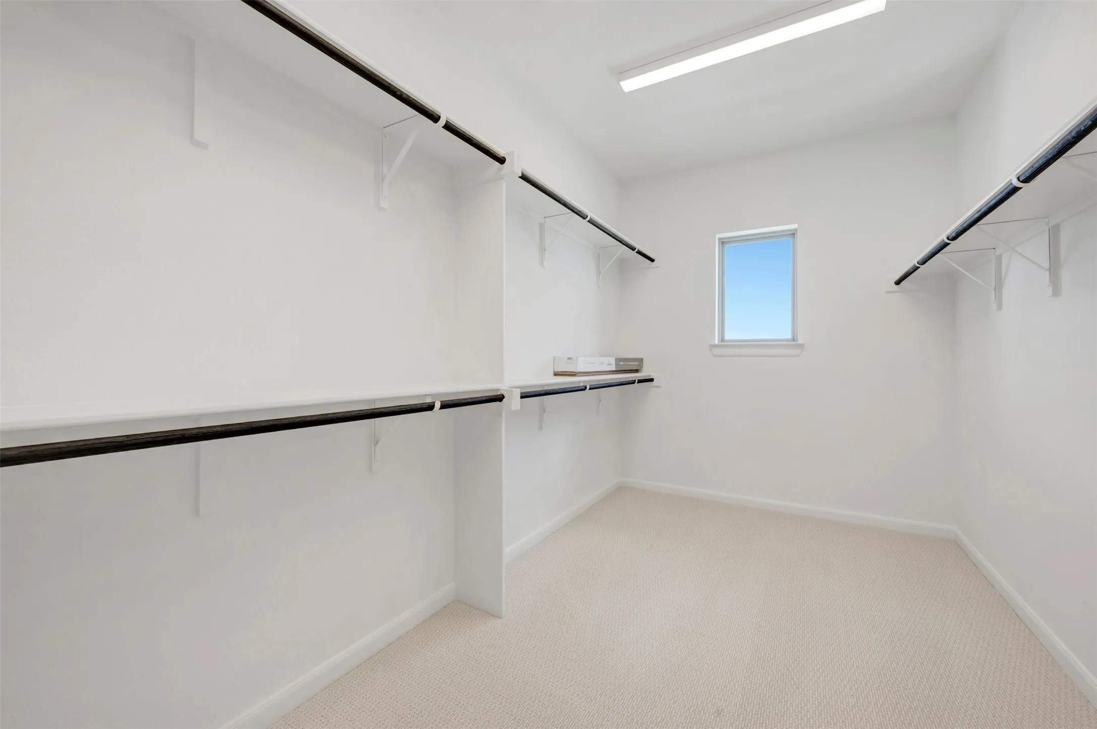 Spacious closet featuring carpet flooring, built-in shelving, hanging rods, and a window for natural light