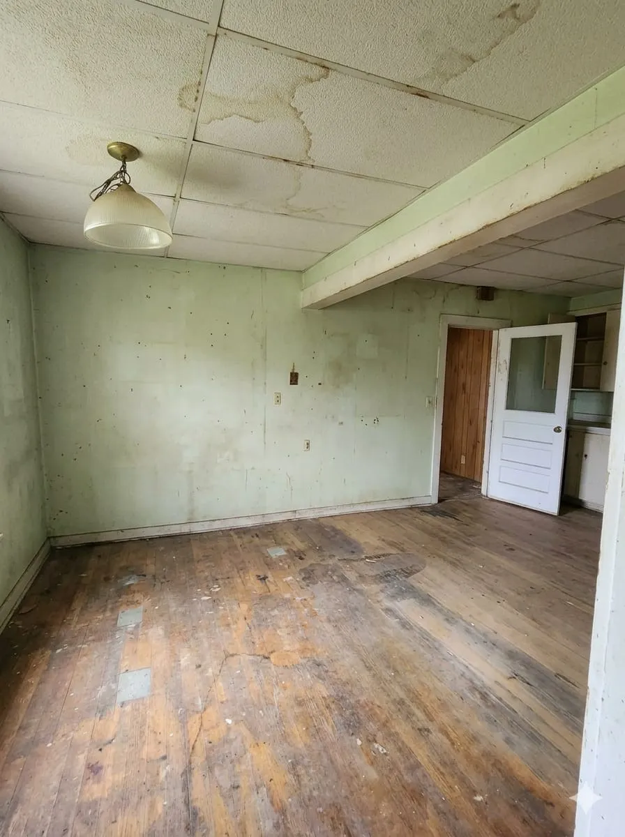  Paneled ceiling and wood-type flooring