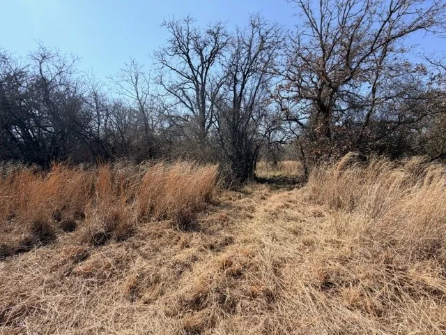 Unimproved Land For Sale in Parker County , 321 Sandpiper Drive, Weatherford, Texas 76088, 0, 0, Garage spaces, 0 Sqft, built in 0, mls#21193933, Real Estate Agent in Weatherford, Homes For Sale in Parker county, Homes For Sale in Weatherford, Realtor in Weatherford Texas, Real Estate Brokerage Independent Realty Texas, Luminita Cordes Realtor