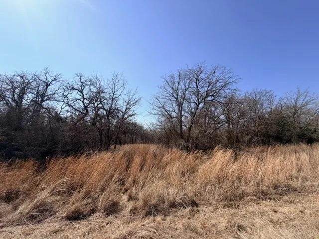 Unimproved Land For Sale in Parker County , 321 Sandpiper Drive, Weatherford, Texas 76088, 0, 0, Garage spaces, 0 Sqft, built in 0, mls#21193933, Real Estate Agent in Weatherford, Homes For Sale in Parker county, Homes For Sale in Weatherford, Realtor in Weatherford Texas, Real Estate Brokerage Independent Realty Texas, Luminita Cordes Realtor