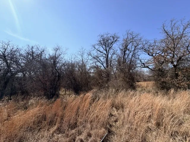 Unimproved Land For Sale in Parker County , 321 Sandpiper Drive, Weatherford, Texas 76088, 0, 0, Garage spaces, 0 Sqft, built in 0, mls#21193933, Real Estate Agent in Weatherford, Homes For Sale in Parker county, Homes For Sale in Weatherford, Realtor in Weatherford Texas, Real Estate Brokerage Independent Realty Texas, Luminita Cordes Realtor