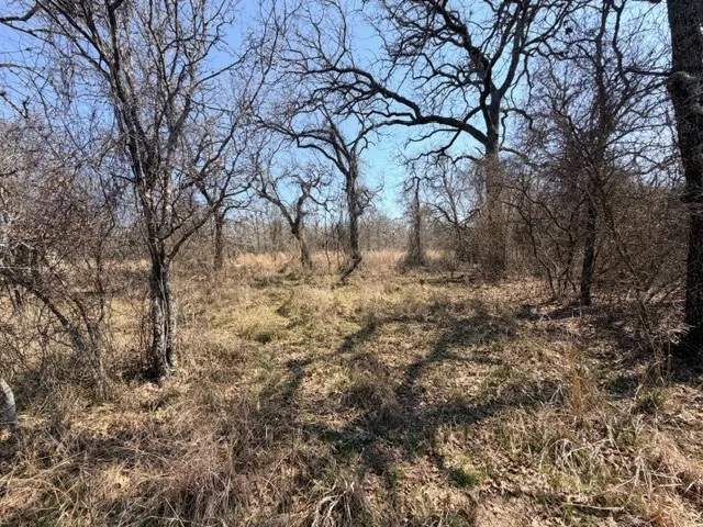 Unimproved Land For Sale in Parker County , 321 Sandpiper Drive, Weatherford, Texas 76088, 0, 0, Garage spaces, 0 Sqft, built in 0, mls#21193933, Real Estate Agent in Weatherford, Homes For Sale in Parker county, Homes For Sale in Weatherford, Realtor in Weatherford Texas, Real Estate Brokerage Independent Realty Texas, Luminita Cordes Realtor