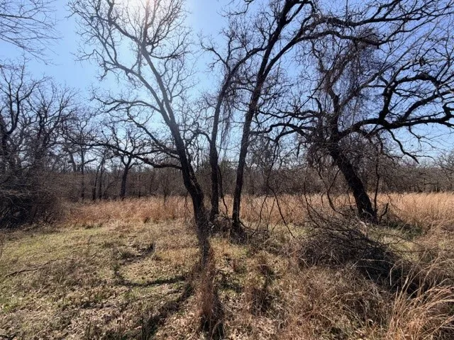 Unimproved Land For Sale in Parker County , 321 Sandpiper Drive, Weatherford, Texas 76088, 0, 0, Garage spaces, 0 Sqft, built in 0, mls#21193933, Real Estate Agent in Weatherford, Homes For Sale in Parker county, Homes For Sale in Weatherford, Realtor in Weatherford Texas, Real Estate Brokerage Independent Realty Texas, Luminita Cordes Realtor