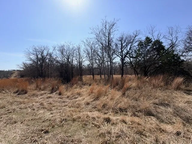 Unimproved Land For Sale in Parker County , 321 Sandpiper Drive, Weatherford, Texas 76088, 0, 0, Garage spaces, 0 Sqft, built in 0, mls#21193933, Real Estate Agent in Weatherford, Homes For Sale in Parker county, Homes For Sale in Weatherford, Realtor in Weatherford Texas, Real Estate Brokerage Independent Realty Texas, Luminita Cordes Realtor