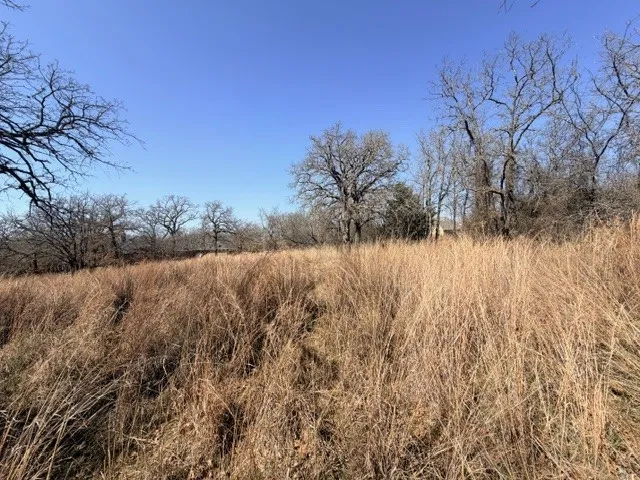 Unimproved Land For Sale in Parker County , 321 Sandpiper Drive, Weatherford, Texas 76088, 0, 0, Garage spaces, 0 Sqft, built in 0, mls#21193933, Real Estate Agent in Weatherford, Homes For Sale in Parker county, Homes For Sale in Weatherford, Realtor in Weatherford Texas, Real Estate Brokerage Independent Realty Texas, Luminita Cordes Realtor