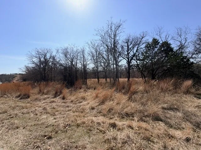 Unimproved Land For Sale in Parker County , 321 Sandpiper Drive, Weatherford, Texas 76088, 0, 0, Garage spaces, 0 Sqft, built in 0, mls#21193933, Real Estate Agent in Weatherford, Homes For Sale in Parker county, Homes For Sale in Weatherford, Realtor in Weatherford Texas, Real Estate Brokerage Independent Realty Texas, Luminita Cordes Realtor