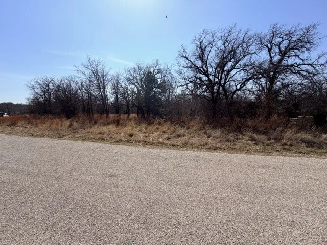 Unimproved Land For Sale in Parker County , 321 Sandpiper Drive, Weatherford, Texas 76088, 0, 0, Garage spaces, 0 Sqft, built in 0, mls#21193933, Real Estate Agent in Weatherford, Homes For Sale in Parker county, Homes For Sale in Weatherford, Realtor in Weatherford Texas, Real Estate Brokerage Independent Realty Texas, Luminita Cordes Realtor