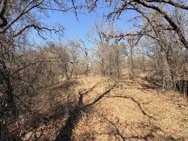 Unimproved Land For Sale in Parker County , 321 Sandpiper Drive, Weatherford, Texas 76088, 0, 0, Garage spaces, 0 Sqft, built in 0, mls#21193933, Real Estate Agent in Weatherford, Homes For Sale in Parker county, Homes For Sale in Weatherford, Realtor in Weatherford Texas, Real Estate Brokerage Independent Realty Texas, Luminita Cordes Realtor