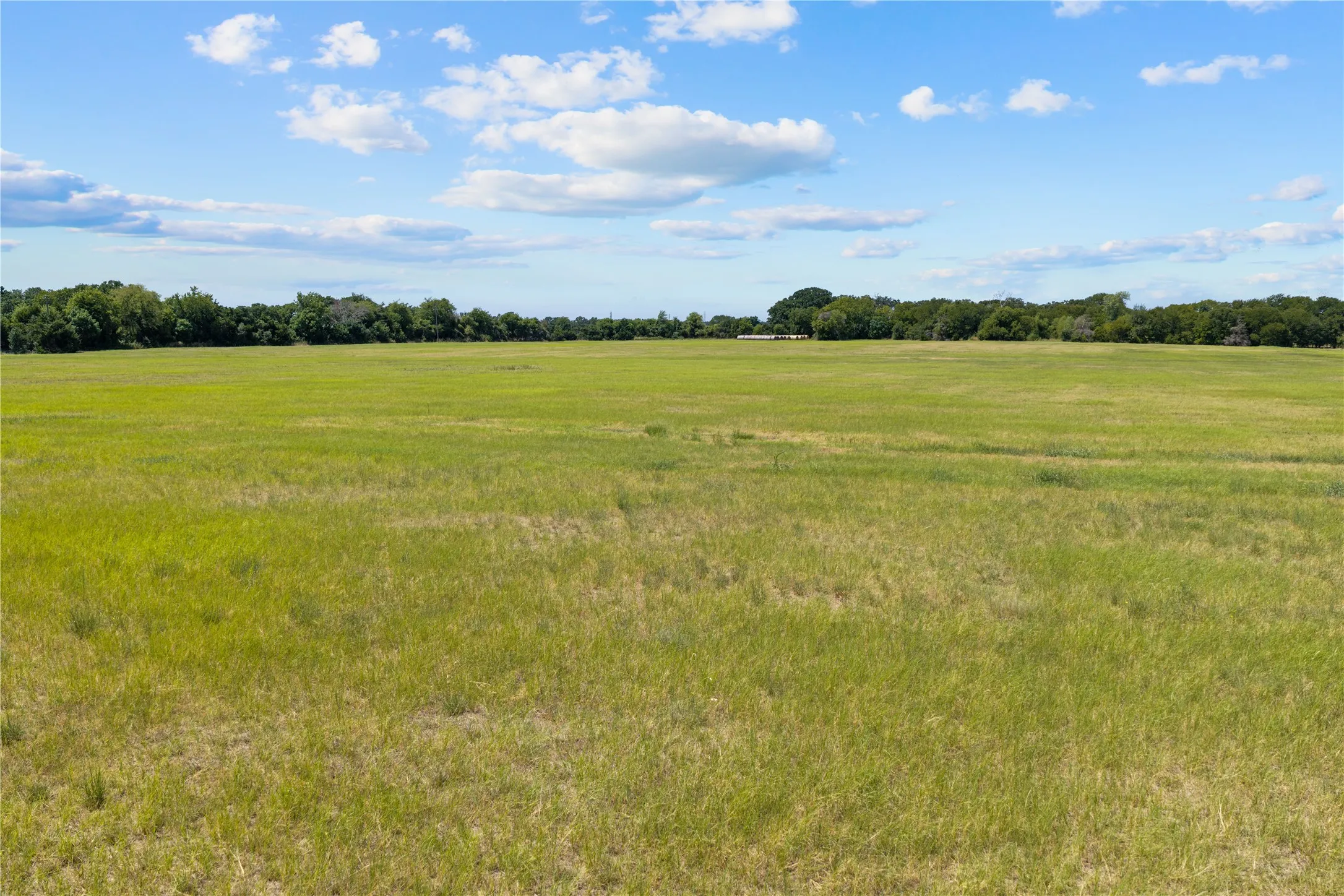 Expansive green field with natural tree line