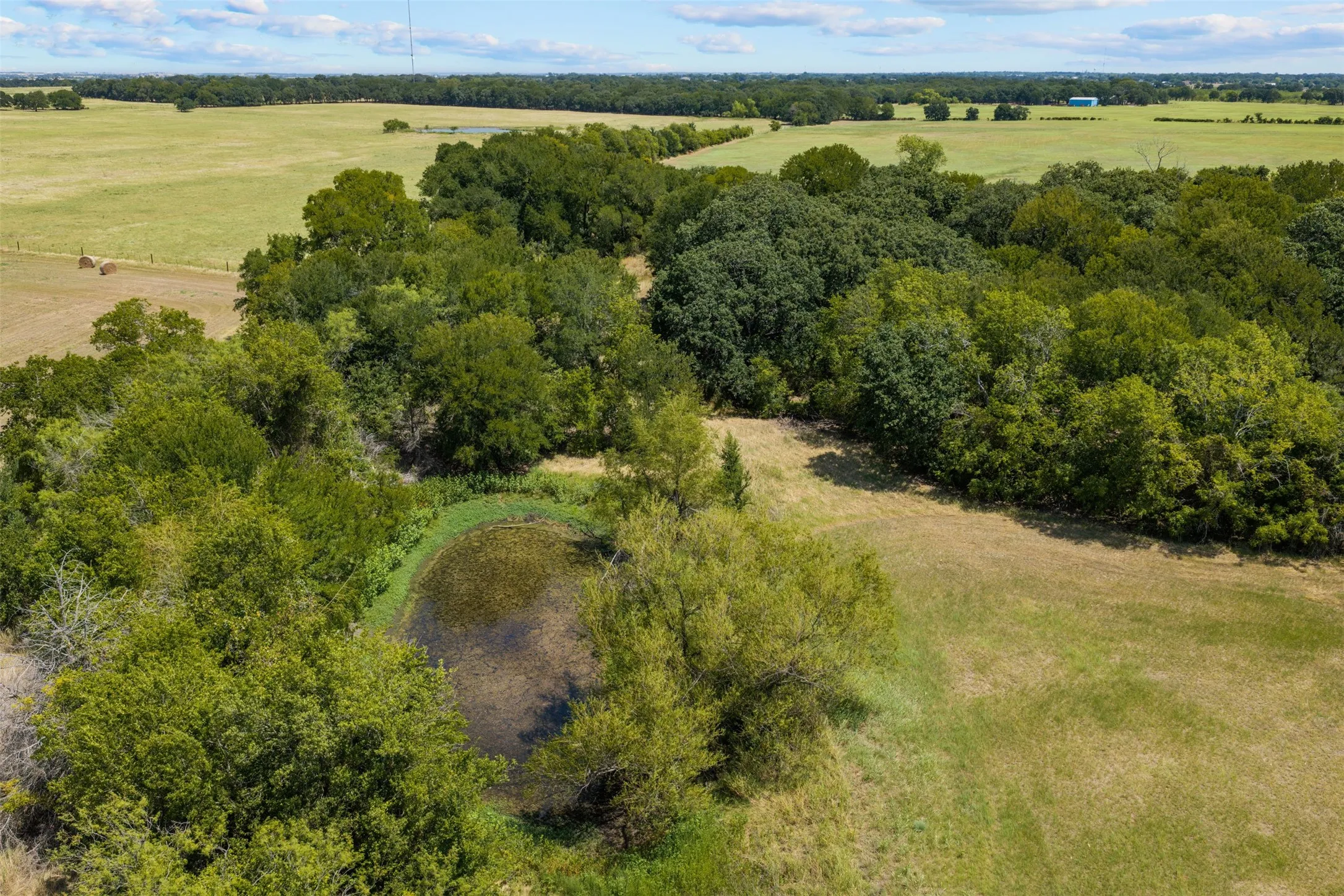 Expansive landscape featuring wooded areas, open fields, and a natural pond