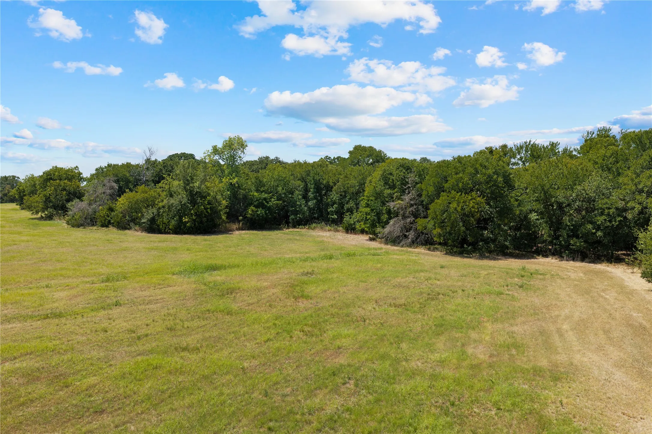 Expansive green space featuring natural landscaping and mature tree lines