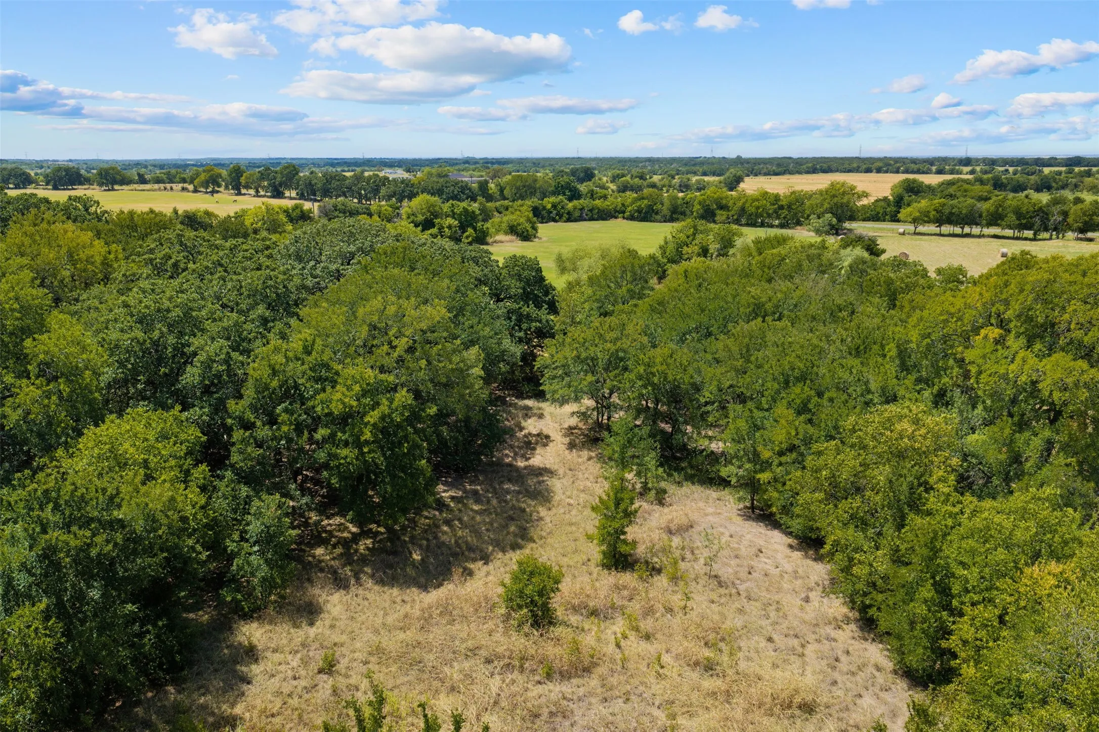 Expansive wooded acreage with a mix of mature trees and open clearings
