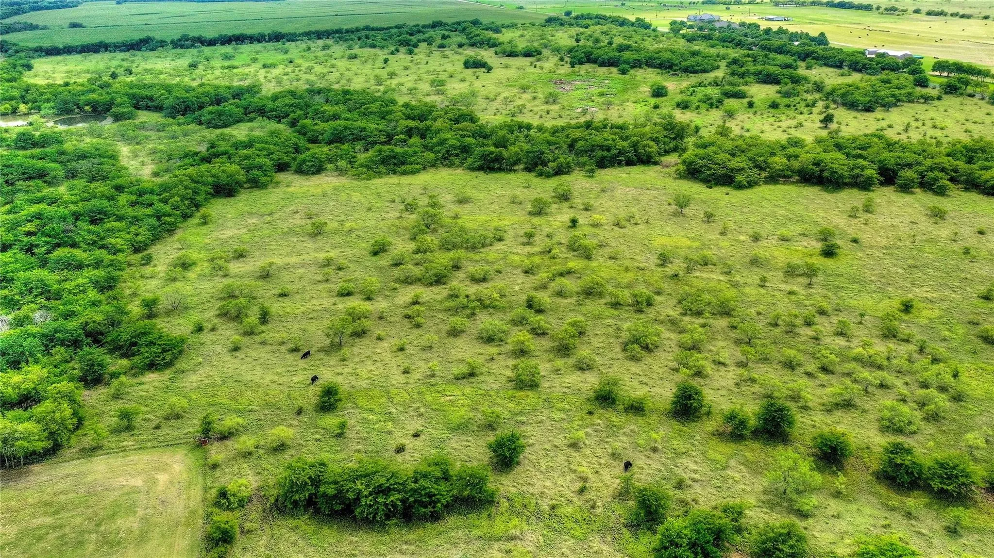 The pond in picture is on the left side of the 13.85 acres. There is very close 2njust left of the one you see here.