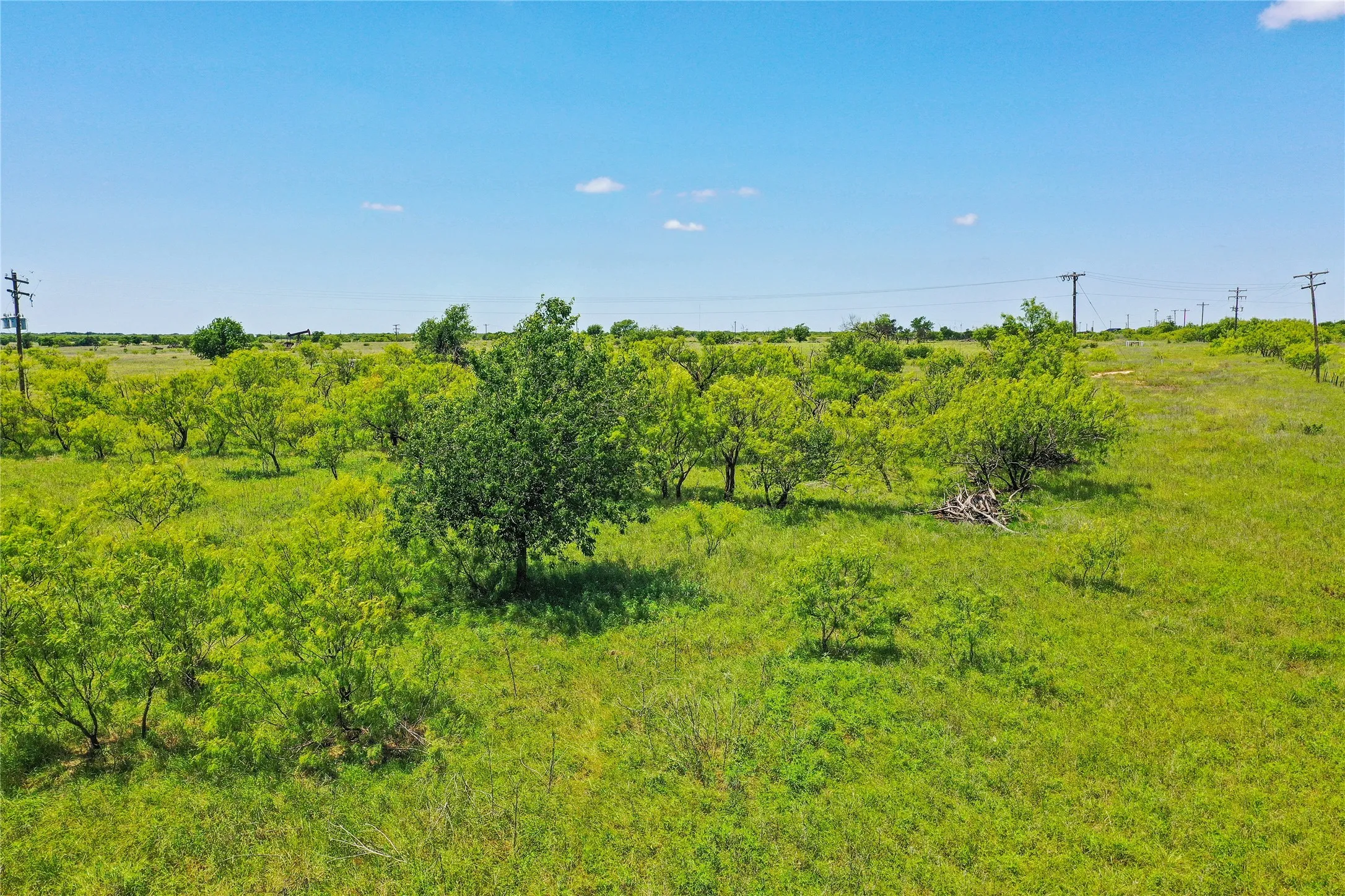 Ranch For Sale in Jack County , 55.06 Acres 281 Highway, Jacksboro, Texas 76458, 0, 0, Garage spaces, 0 Sqft, built in 0, Price $495,000, mls#21196351, Real Estate Agent in Jacksboro, Homes For Sale in Jack county, Homes For Sale in Jacksboro, Realtor in Jacksboro Texas, Real Estate Brokerage Independent Realty Texas, Luminita Cordes Realtor
