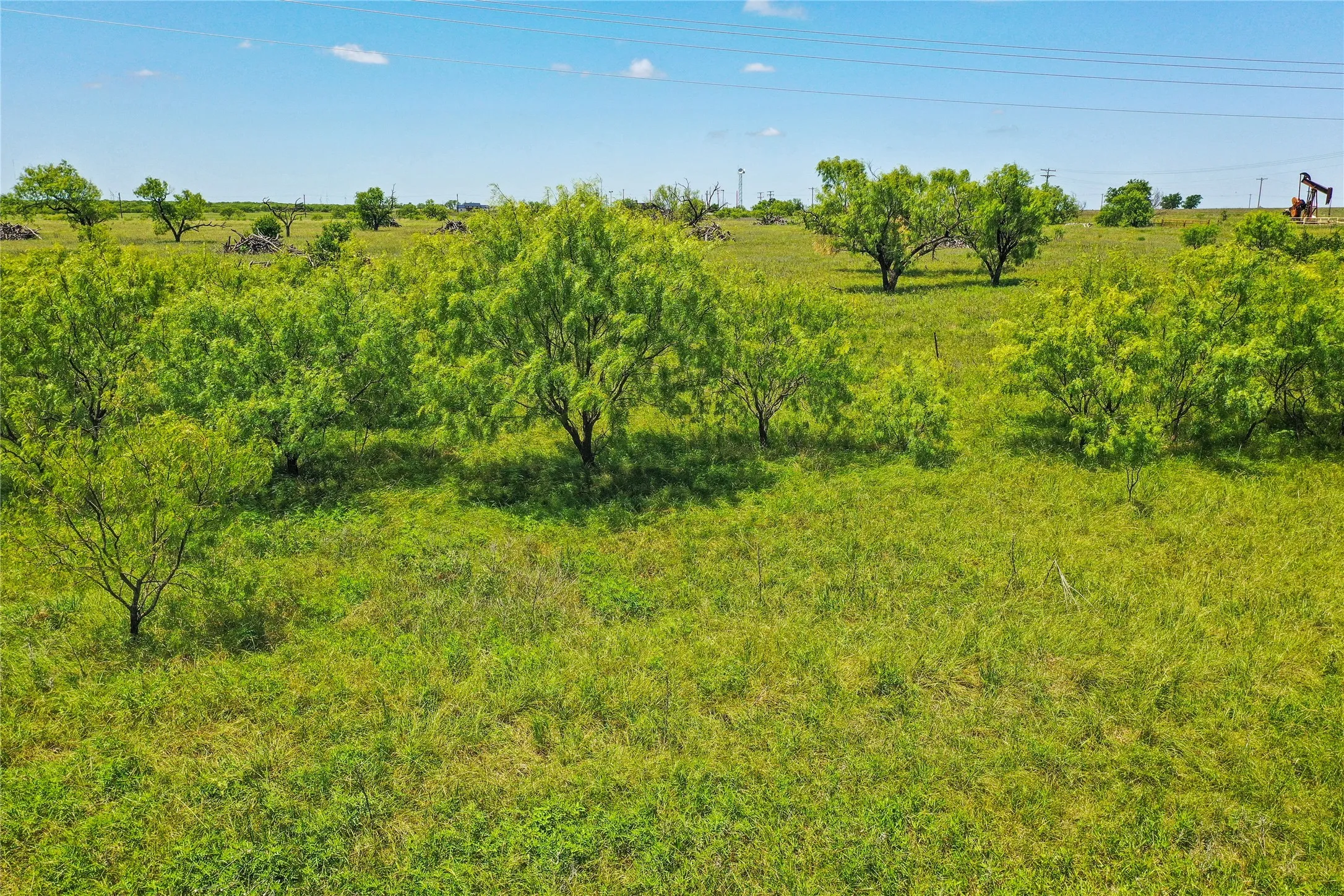 Ranch For Sale in Jack County , 55.06 Acres 281 Highway, Jacksboro, Texas 76458, 0, 0, Garage spaces, 0 Sqft, built in 0, Price $495,000, mls#21196351, Real Estate Agent in Jacksboro, Homes For Sale in Jack county, Homes For Sale in Jacksboro, Realtor in Jacksboro Texas, Real Estate Brokerage Independent Realty Texas, Luminita Cordes Realtor