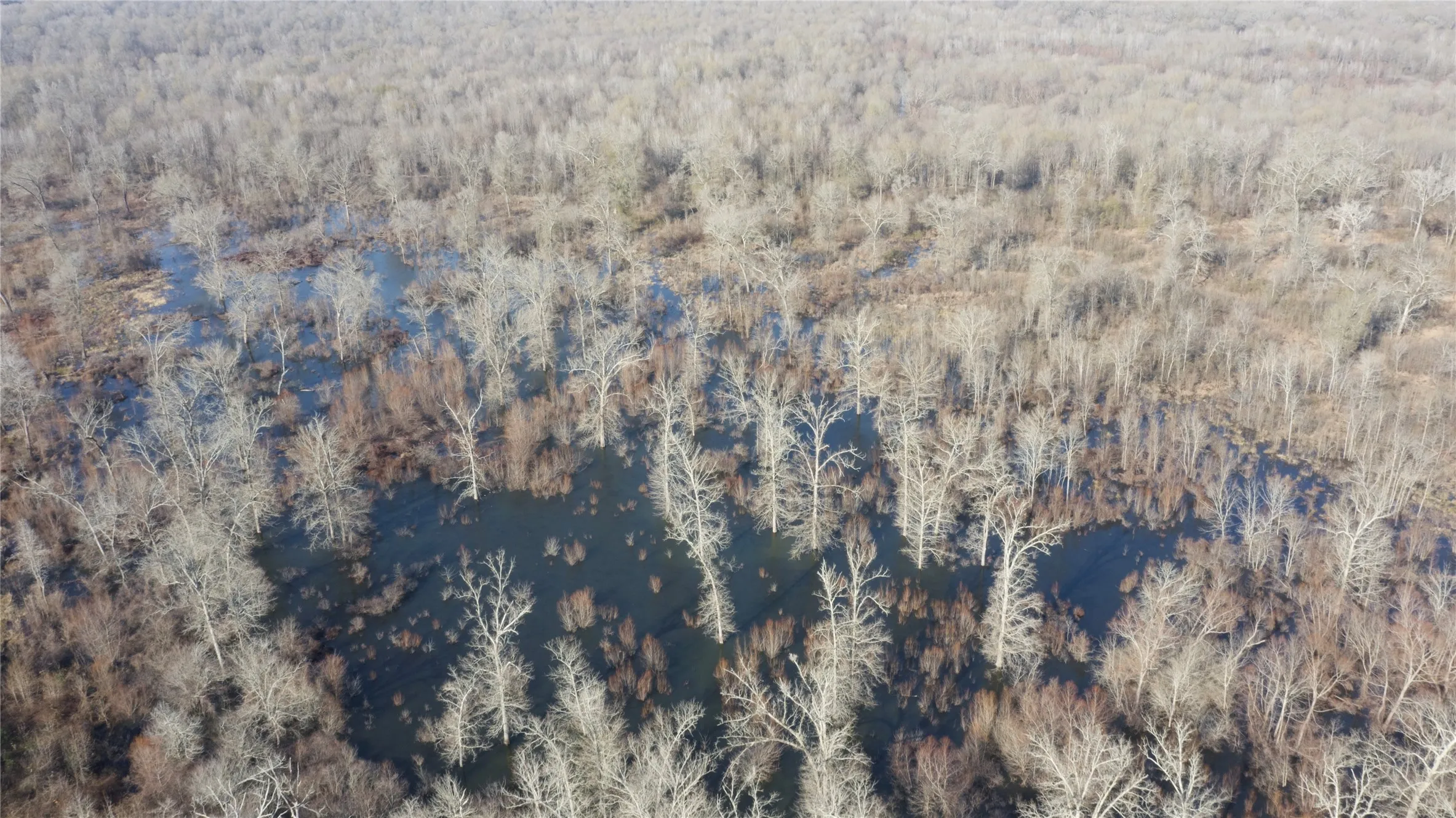 Farm For Sale in Wood County , 3222 FM 1254, Mineola, Texas 75773, 3 Bedroom, 3 Bathroom, 2 Garage spaces, 2,940 Sqft, built in 1973, Preowned, mls#21092774, Real Estate Agent in Mineola, Homes For Sale in Wood county, Homes For Sale in Mineola, Realtor in Mineola Texas, Real Estate Brokerage Independent Realty Texas, Luminita Cordes Realtor