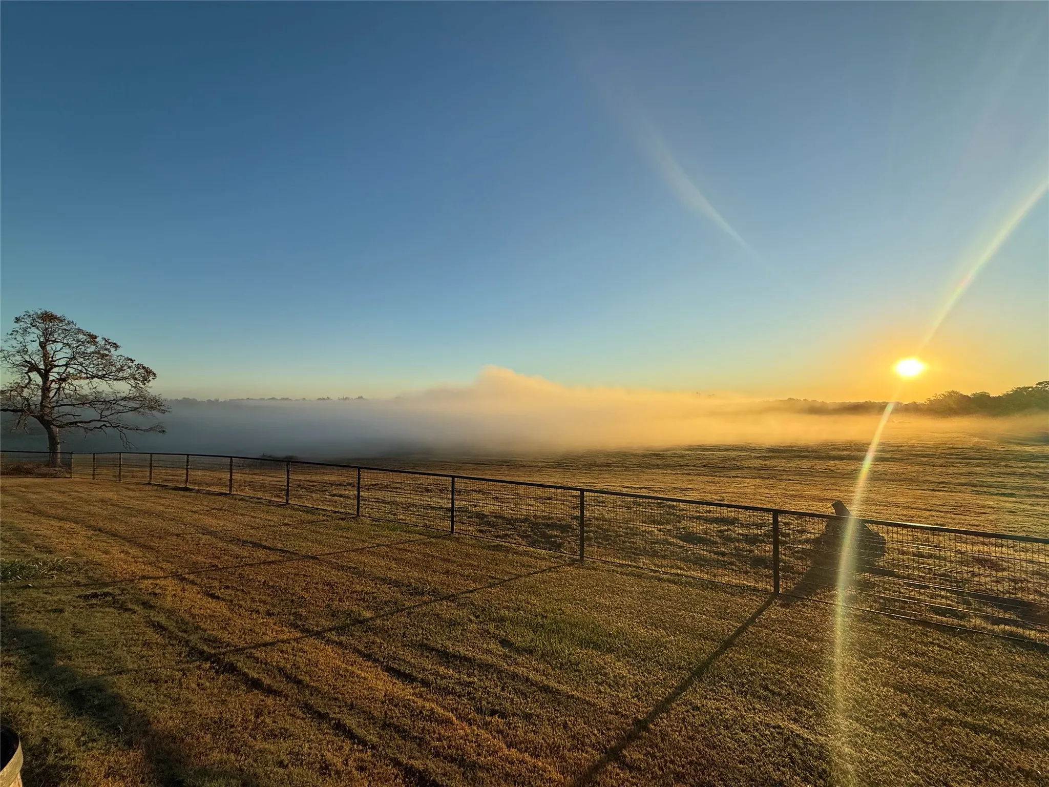 Farm For Sale in Wood County , 3222 FM 1254, Mineola, Texas 75773, 3 Bedroom, 3 Bathroom, 2 Garage spaces, 2,940 Sqft, built in 1973, Preowned, mls#21092774, Real Estate Agent in Mineola, Homes For Sale in Wood county, Homes For Sale in Mineola, Realtor in Mineola Texas, Real Estate Brokerage Independent Realty Texas, Luminita Cordes Realtor