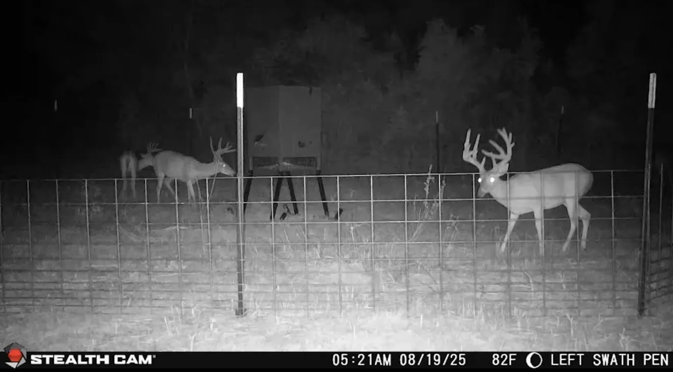 Farm For Sale in Wood County , 3222 FM 1254, Mineola, Texas 75773, 3 Bedroom, 3 Bathroom, 2 Garage spaces, 2,940 Sqft, built in 1973, Preowned, mls#21092774, Real Estate Agent in Mineola, Homes For Sale in Wood county, Homes For Sale in Mineola, Realtor in Mineola Texas, Real Estate Brokerage Independent Realty Texas, Luminita Cordes Realtor