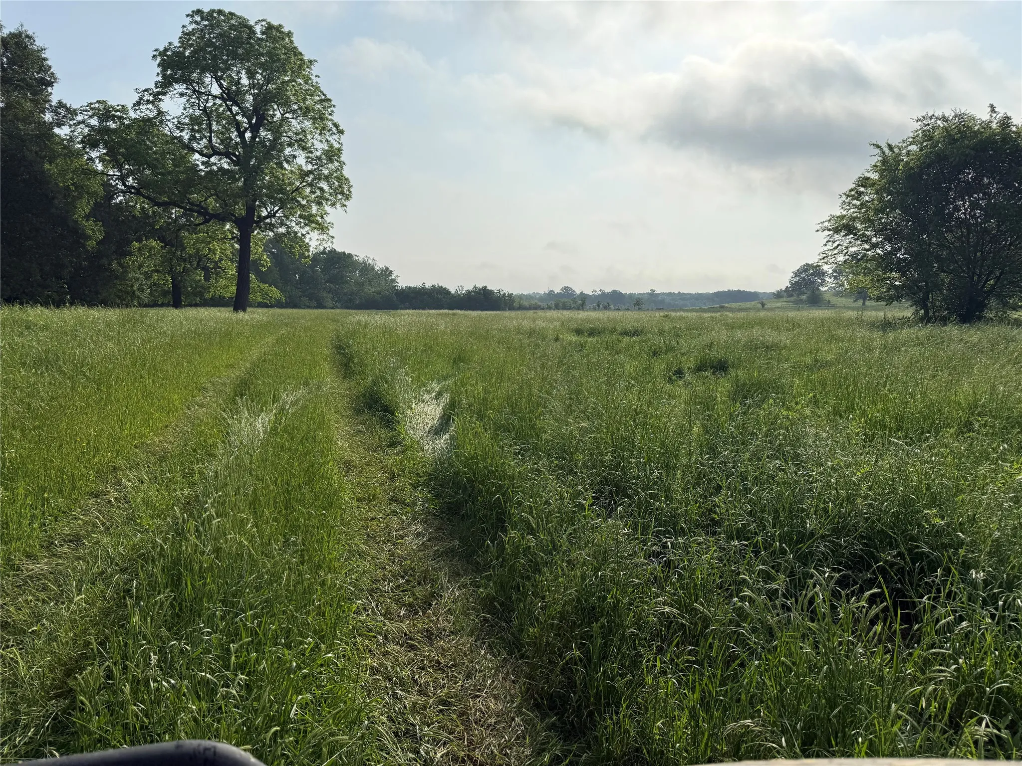 Farm For Sale in Wood County , 3222 FM 1254, Mineola, Texas 75773, 3 Bedroom, 3 Bathroom, 2 Garage spaces, 2,940 Sqft, built in 1973, Preowned, mls#21092774, Real Estate Agent in Mineola, Homes For Sale in Wood county, Homes For Sale in Mineola, Realtor in Mineola Texas, Real Estate Brokerage Independent Realty Texas, Luminita Cordes Realtor