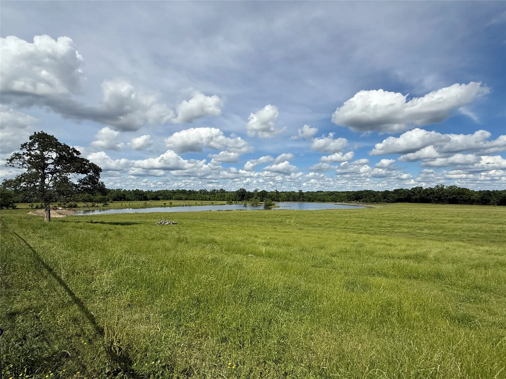 Farm For Sale in Wood County , 3222 FM 1254, Mineola, Texas 75773, 3 Bedroom, 3 Bathroom, 2 Garage spaces, 2,940 Sqft, built in 1973, Preowned, mls#21092774, Real Estate Agent in Mineola, Homes For Sale in Wood county, Homes For Sale in Mineola, Realtor in Mineola Texas, Real Estate Brokerage Independent Realty Texas, Luminita Cordes Realtor
