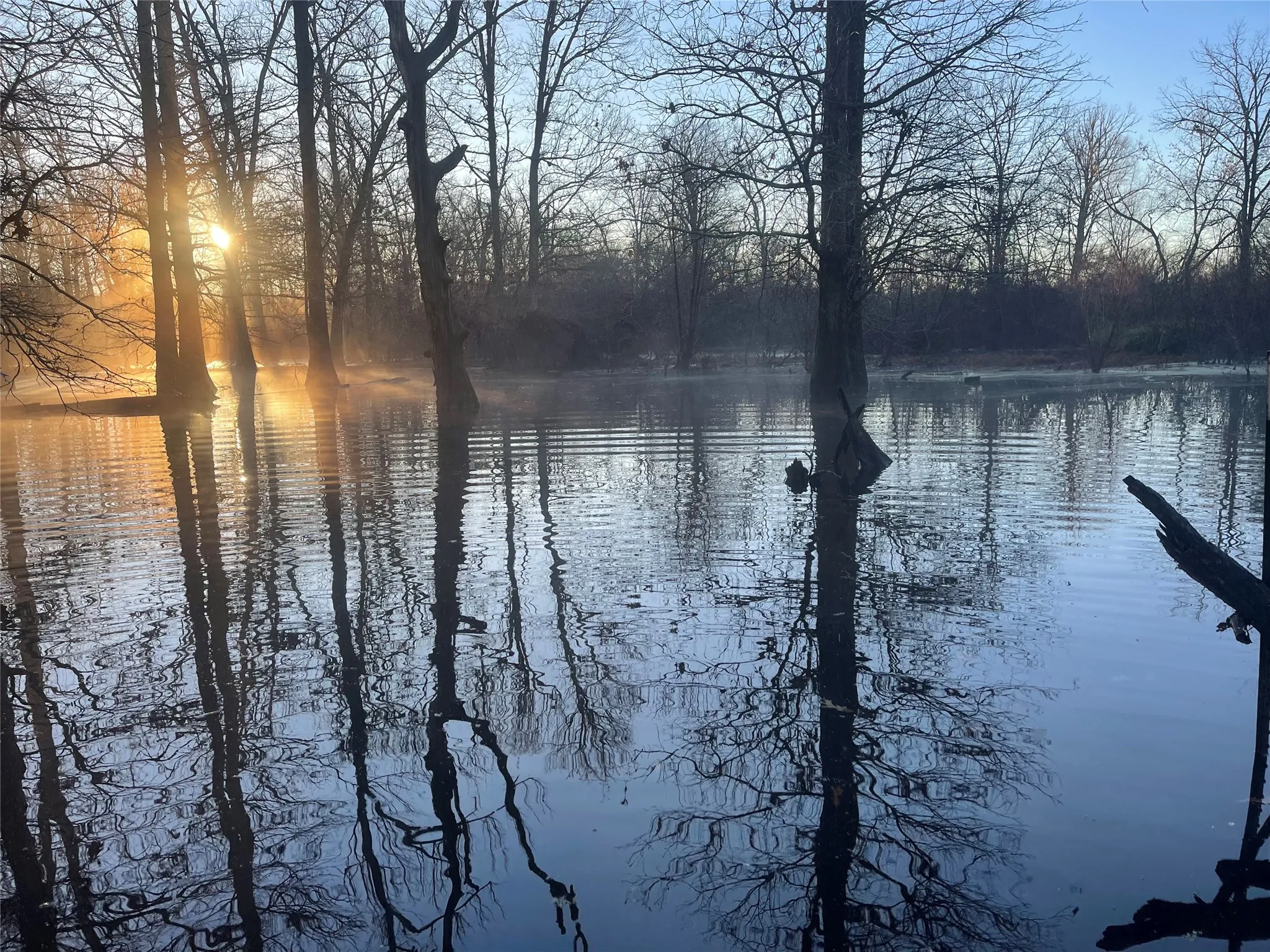 Farm For Sale in Wood County , 3222 FM 1254, Mineola, Texas 75773, 3 Bedroom, 3 Bathroom, 2 Garage spaces, 2,940 Sqft, built in 1973, Preowned, mls#21092774, Real Estate Agent in Mineola, Homes For Sale in Wood county, Homes For Sale in Mineola, Realtor in Mineola Texas, Real Estate Brokerage Independent Realty Texas, Luminita Cordes Realtor
