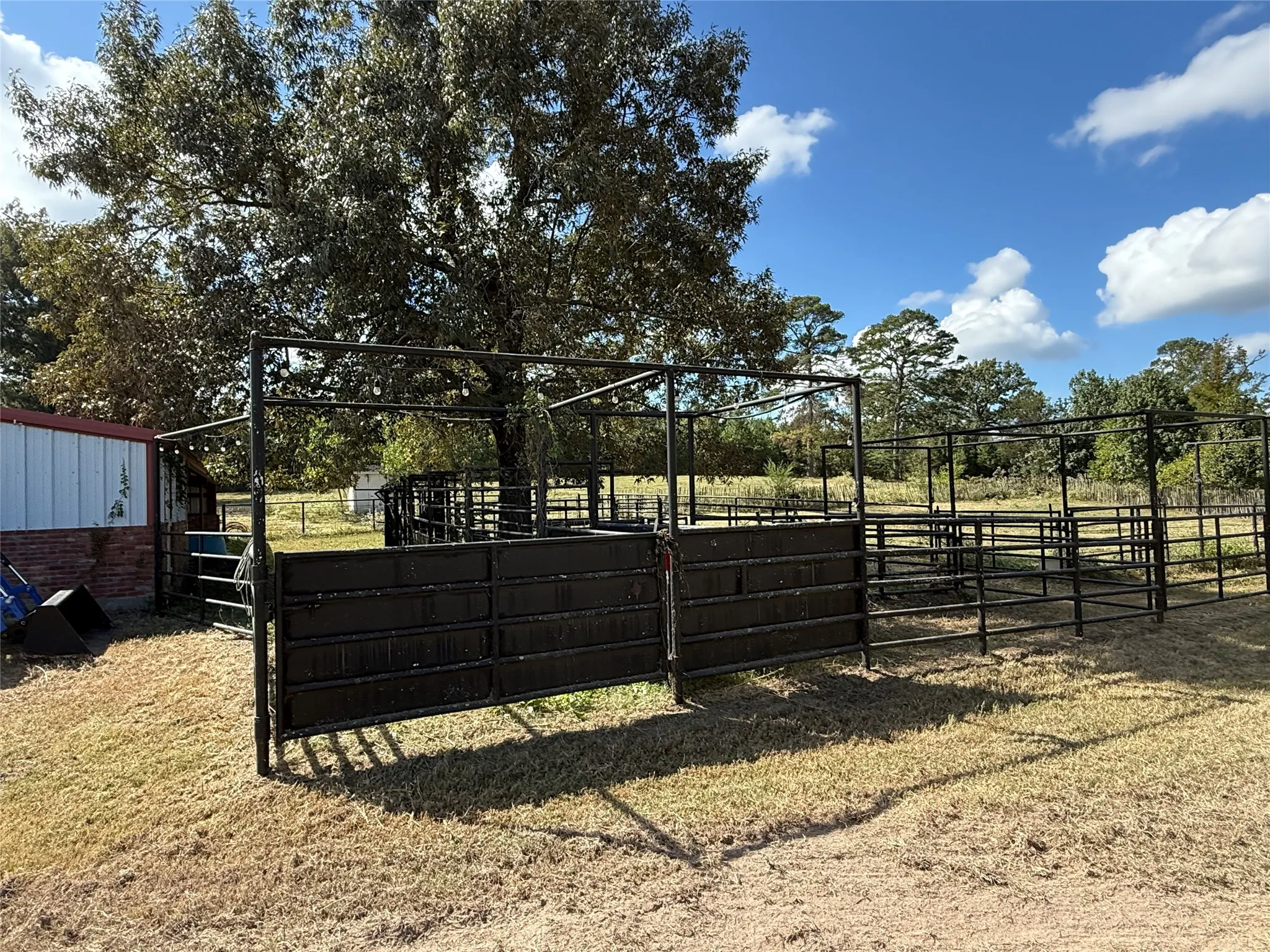 Farm For Sale in Wood County , 3222 FM 1254, Mineola, Texas 75773, 3 Bedroom, 3 Bathroom, 2 Garage spaces, 2,940 Sqft, built in 1973, Preowned, mls#21092774, Real Estate Agent in Mineola, Homes For Sale in Wood county, Homes For Sale in Mineola, Realtor in Mineola Texas, Real Estate Brokerage Independent Realty Texas, Luminita Cordes Realtor