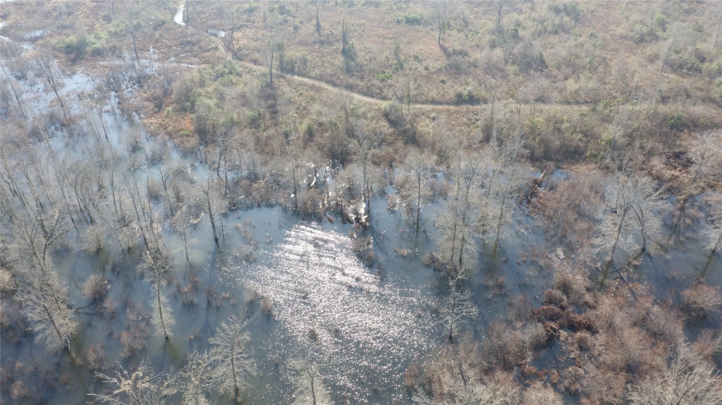 Farm For Sale in Wood County , 3222 FM 1254, Mineola, Texas 75773, 3 Bedroom, 3 Bathroom, 2 Garage spaces, 2,940 Sqft, built in 1973, Preowned, mls#21092774, Real Estate Agent in Mineola, Homes For Sale in Wood county, Homes For Sale in Mineola, Realtor in Mineola Texas, Real Estate Brokerage Independent Realty Texas, Luminita Cordes Realtor