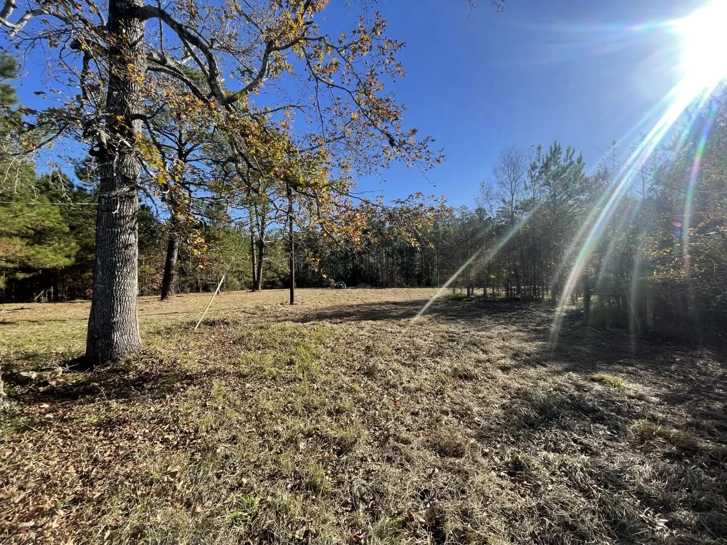 Ranch For Sale in Polk County , Lot 5 E FM 942, Corrigan, Texas 75934, 0, 0, Garage spaces, 0 Sqft, built in 0, Price $141,900, mls#21196496, Real Estate Agent in Corrigan, Homes For Sale in Polk county, Homes For Sale in Corrigan, Realtor in Corrigan Texas, Real Estate Brokerage Independent Realty Texas, Luminita Cordes Realtor