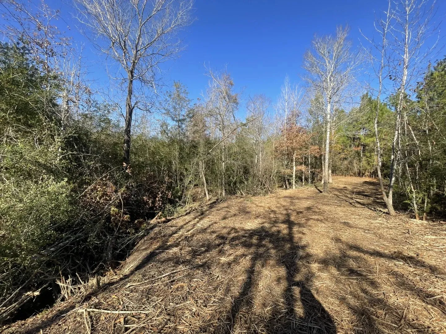 Ranch For Sale in Polk County , Lot 5 E FM 942, Corrigan, Texas 75934, 0, 0, Garage spaces, 0 Sqft, built in 0, Price $141,900, mls#21196496, Real Estate Agent in Corrigan, Homes For Sale in Polk county, Homes For Sale in Corrigan, Realtor in Corrigan Texas, Real Estate Brokerage Independent Realty Texas, Luminita Cordes Realtor