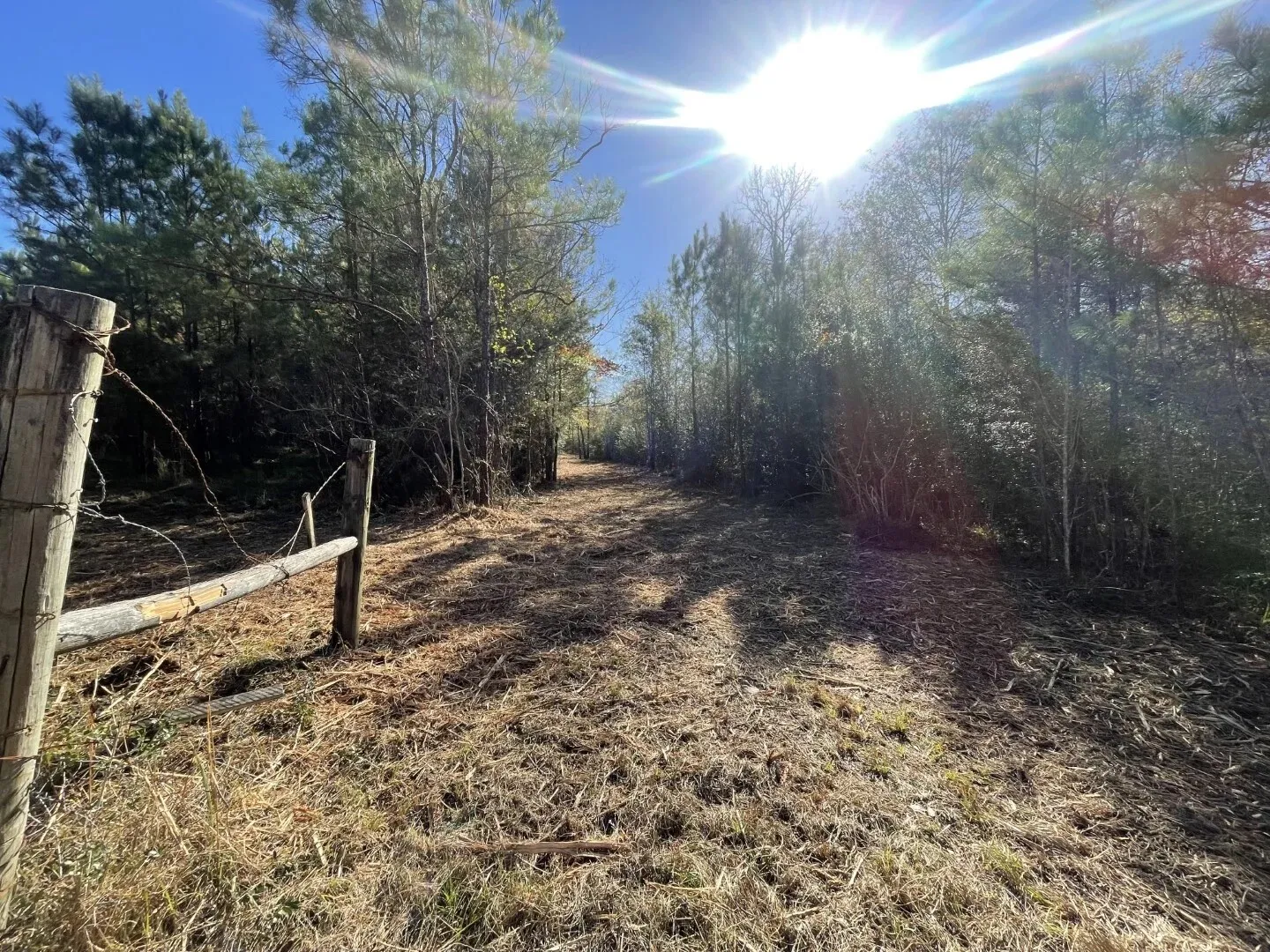 Ranch For Sale in Polk County , Lot 5 E FM 942, Corrigan, Texas 75934, 0, 0, Garage spaces, 0 Sqft, built in 0, Price $141,900, mls#21196496, Real Estate Agent in Corrigan, Homes For Sale in Polk county, Homes For Sale in Corrigan, Realtor in Corrigan Texas, Real Estate Brokerage Independent Realty Texas, Luminita Cordes Realtor