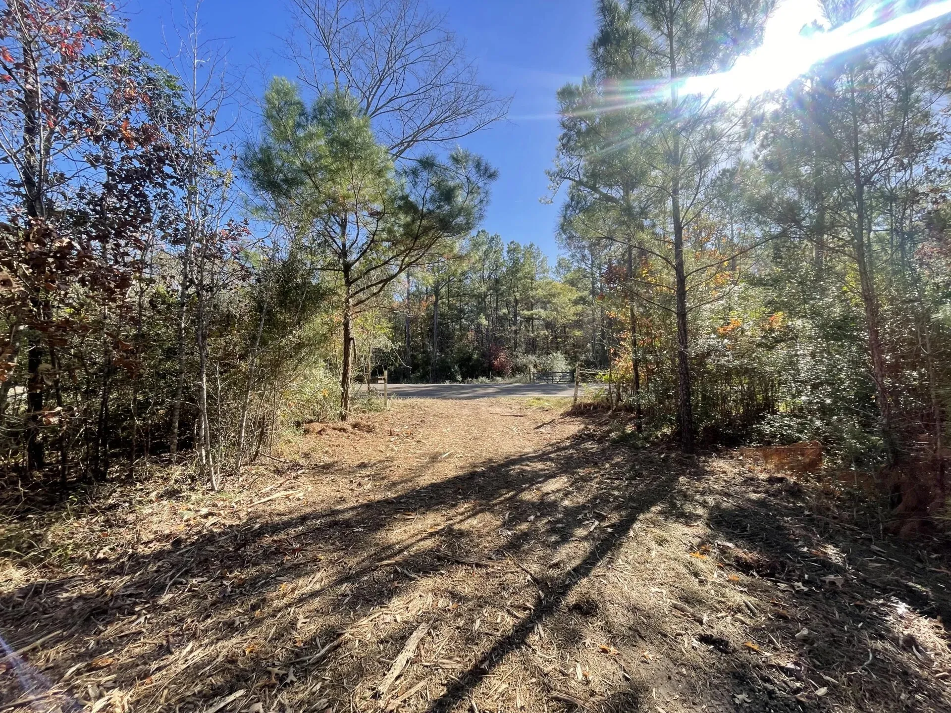 Ranch For Sale in Polk County , Lot 5 E FM 942, Corrigan, Texas 75934, 0, 0, Garage spaces, 0 Sqft, built in 0, Price $141,900, mls#21196496, Real Estate Agent in Corrigan, Homes For Sale in Polk county, Homes For Sale in Corrigan, Realtor in Corrigan Texas, Real Estate Brokerage Independent Realty Texas, Luminita Cordes Realtor