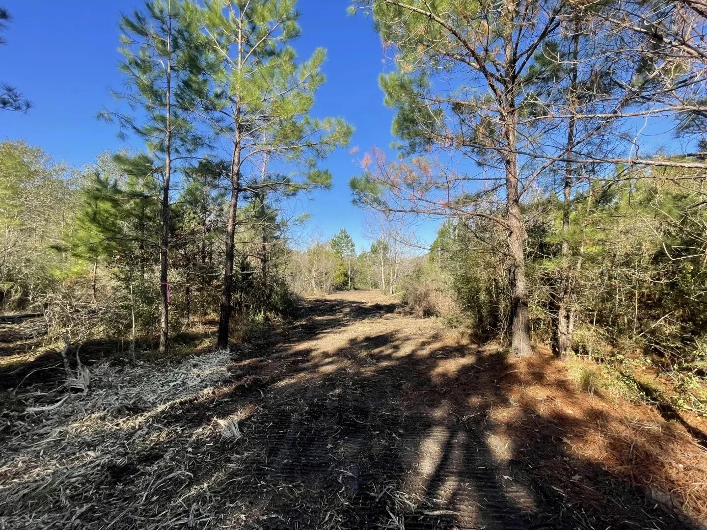 Ranch For Sale in Polk County , Lot 5 E FM 942, Corrigan, Texas 75934, 0, 0, Garage spaces, 0 Sqft, built in 0, Price $141,900, mls#21196496, Real Estate Agent in Corrigan, Homes For Sale in Polk county, Homes For Sale in Corrigan, Realtor in Corrigan Texas, Real Estate Brokerage Independent Realty Texas, Luminita Cordes Realtor
