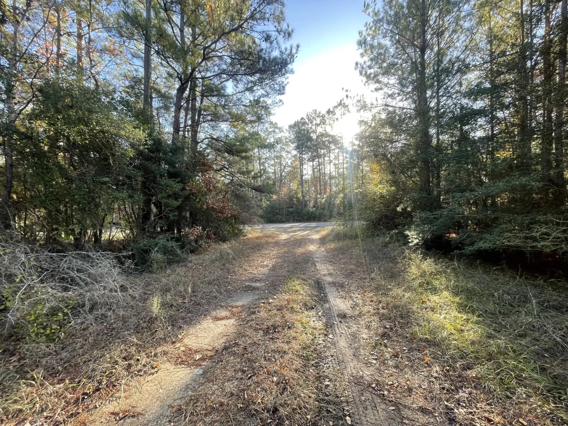 Ranch For Sale in Polk County , Lot 5 E FM 942, Corrigan, Texas 75934, 0, 0, Garage spaces, 0 Sqft, built in 0, Price $141,900, mls#21196496, Real Estate Agent in Corrigan, Homes For Sale in Polk county, Homes For Sale in Corrigan, Realtor in Corrigan Texas, Real Estate Brokerage Independent Realty Texas, Luminita Cordes Realtor