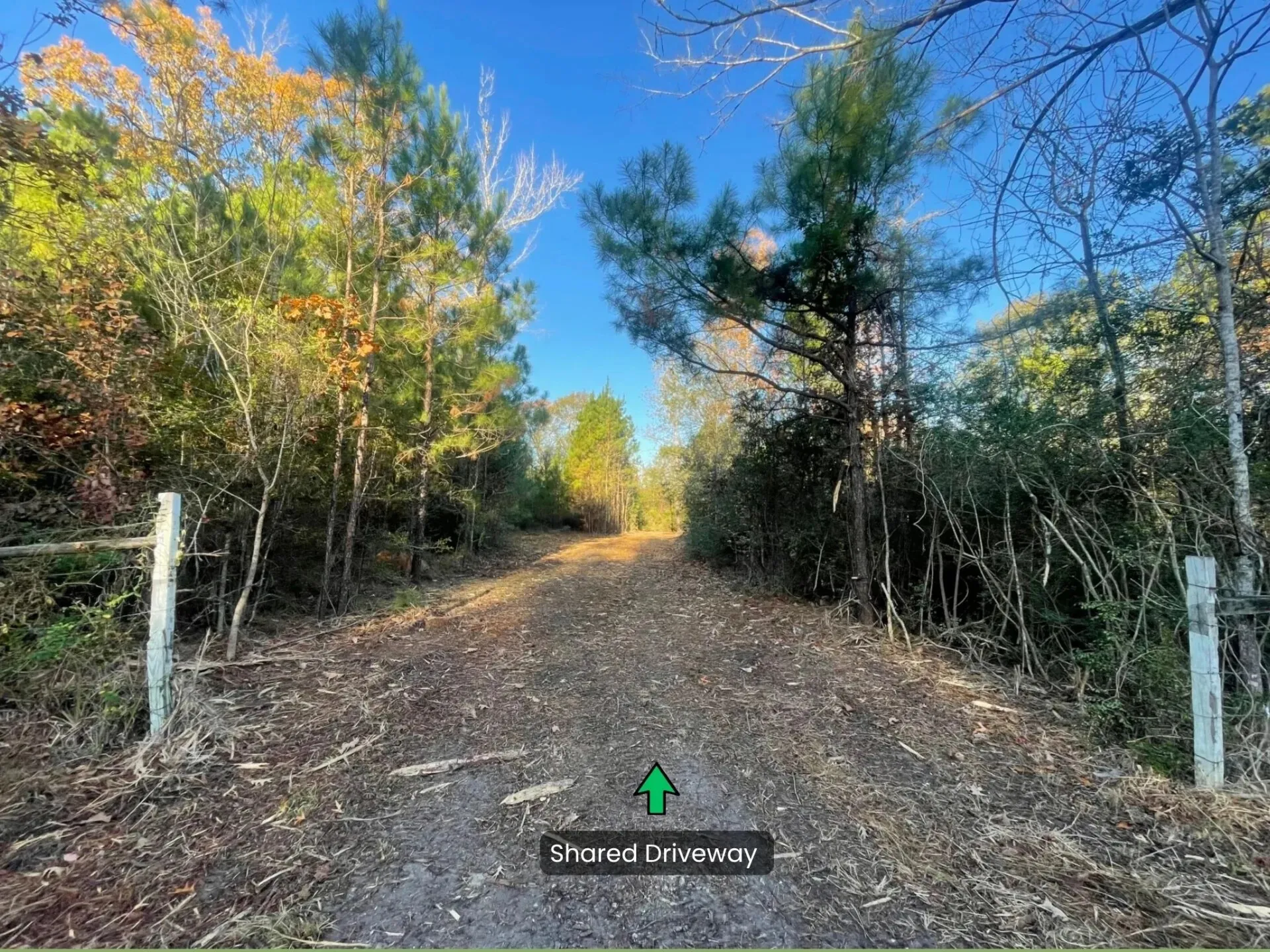 Ranch For Sale in Polk County , Lot 5 E FM 942, Corrigan, Texas 75934, 0, 0, Garage spaces, 0 Sqft, built in 0, Price $141,900, mls#21196496, Real Estate Agent in Corrigan, Homes For Sale in Polk county, Homes For Sale in Corrigan, Realtor in Corrigan Texas, Real Estate Brokerage Independent Realty Texas, Luminita Cordes Realtor