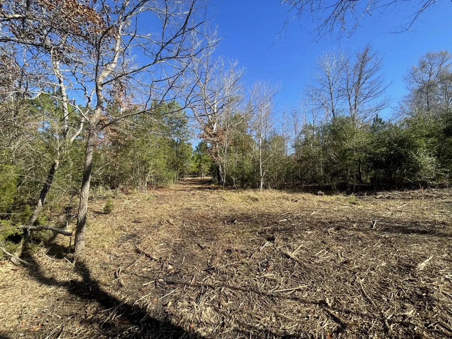 Ranch For Sale in Polk County , Lot 5 E FM 942, Corrigan, Texas 75934, 0, 0, Garage spaces, 0 Sqft, built in 0, Price $141,900, mls#21196496, Real Estate Agent in Corrigan, Homes For Sale in Polk county, Homes For Sale in Corrigan, Realtor in Corrigan Texas, Real Estate Brokerage Independent Realty Texas, Luminita Cordes Realtor