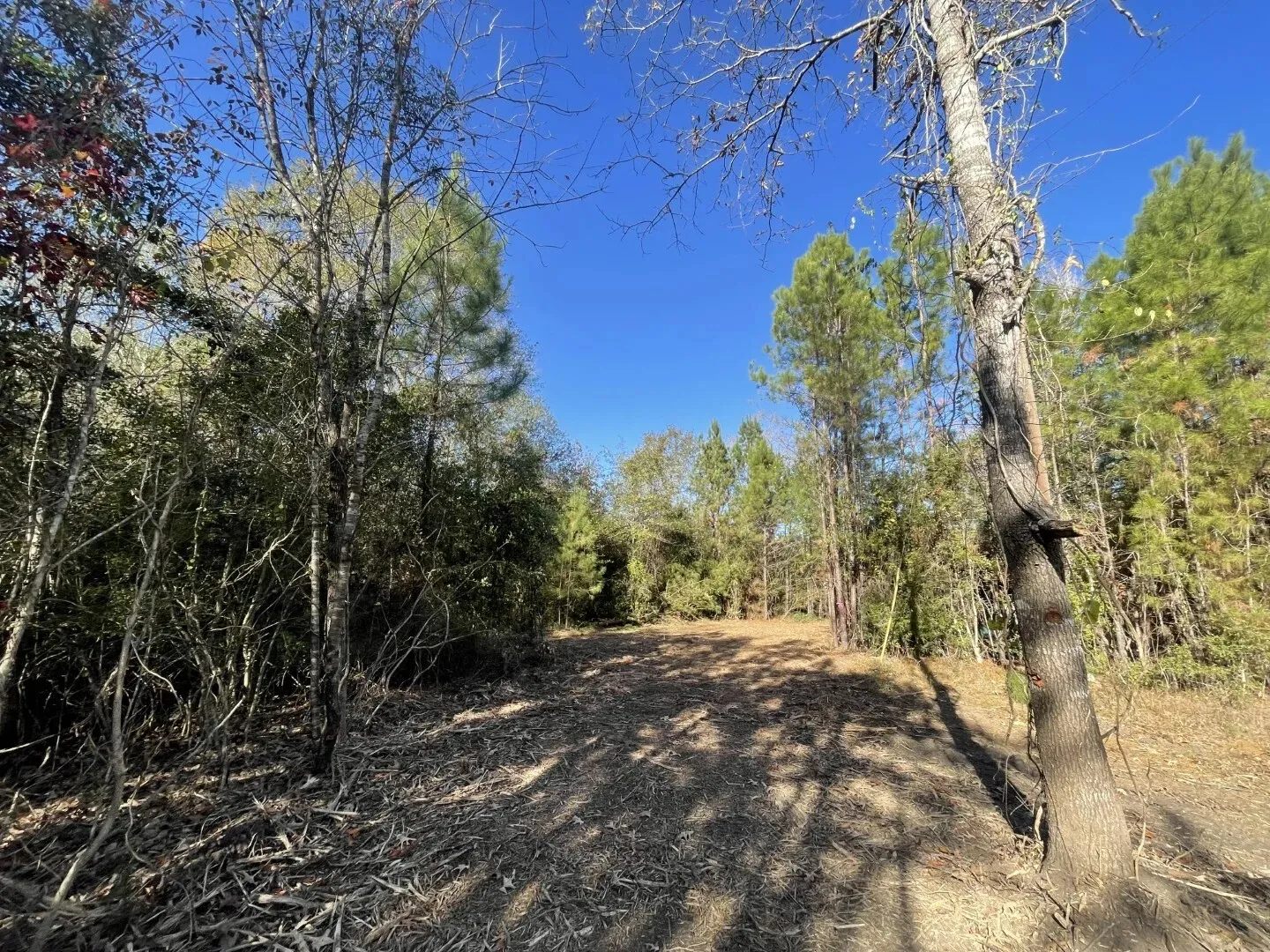 Ranch For Sale in Polk County , Lot 5 E FM 942, Corrigan, Texas 75934, 0, 0, Garage spaces, 0 Sqft, built in 0, Price $141,900, mls#21196496, Real Estate Agent in Corrigan, Homes For Sale in Polk county, Homes For Sale in Corrigan, Realtor in Corrigan Texas, Real Estate Brokerage Independent Realty Texas, Luminita Cordes Realtor