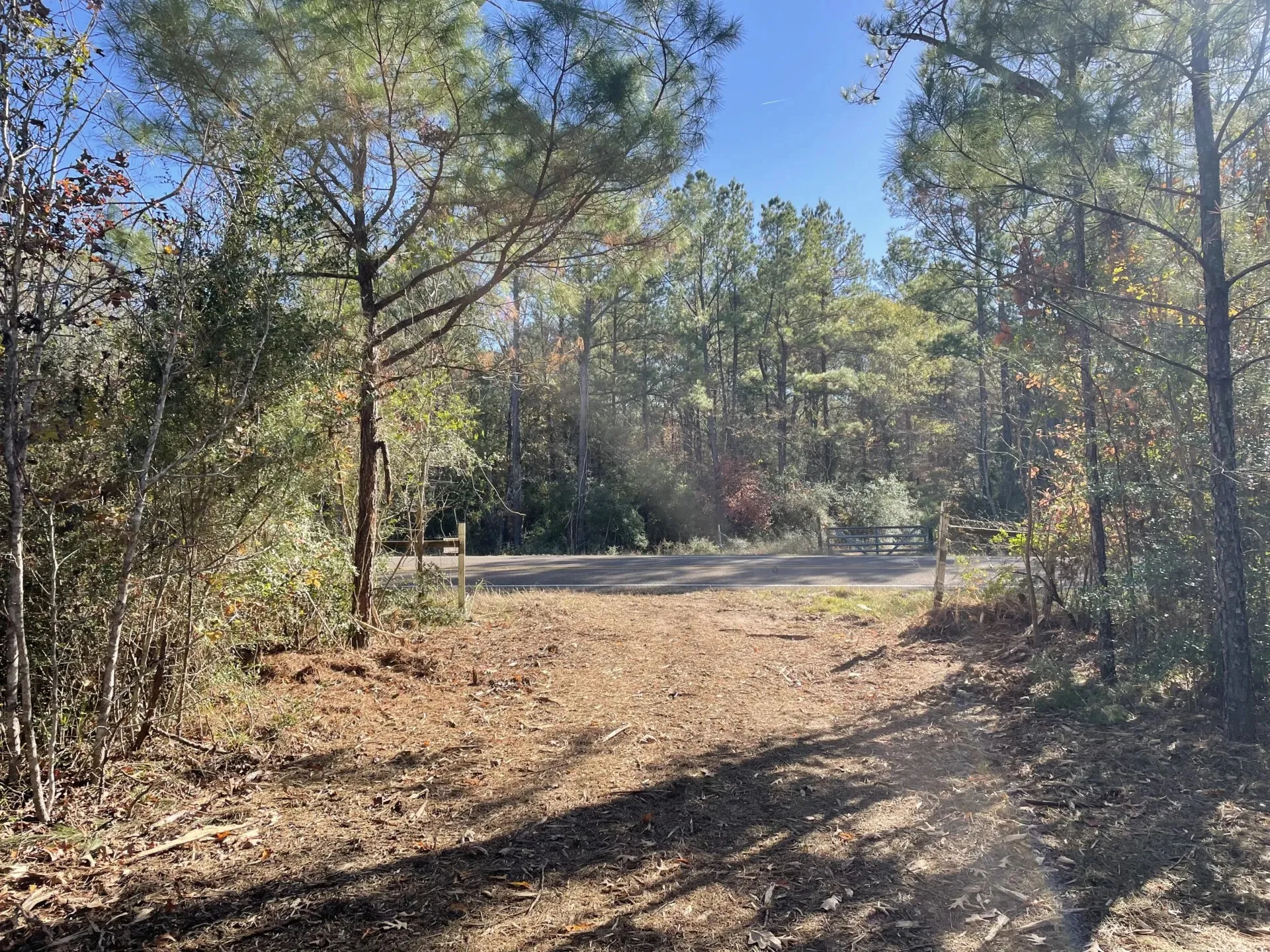 Ranch For Sale in Polk County , Lot 5 E FM 942, Corrigan, Texas 75934, 0, 0, Garage spaces, 0 Sqft, built in 0, Price $141,900, mls#21196496, Real Estate Agent in Corrigan, Homes For Sale in Polk county, Homes For Sale in Corrigan, Realtor in Corrigan Texas, Real Estate Brokerage Independent Realty Texas, Luminita Cordes Realtor