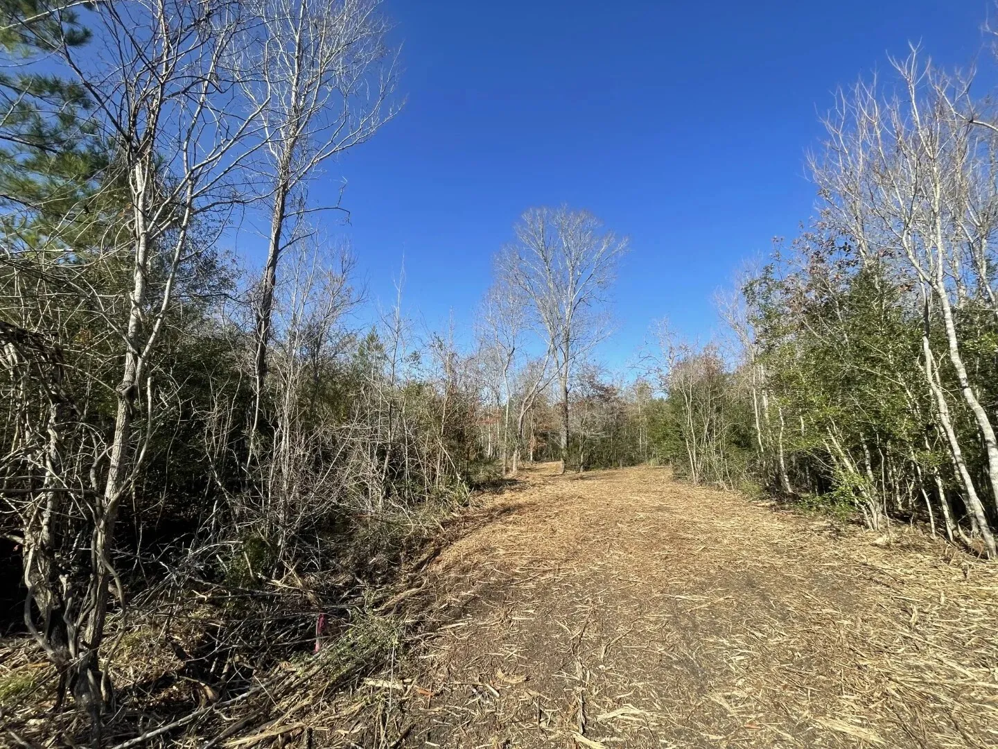 Ranch For Sale in Polk County , Lot 5 E FM 942, Corrigan, Texas 75934, 0, 0, Garage spaces, 0 Sqft, built in 0, Price $141,900, mls#21196496, Real Estate Agent in Corrigan, Homes For Sale in Polk county, Homes For Sale in Corrigan, Realtor in Corrigan Texas, Real Estate Brokerage Independent Realty Texas, Luminita Cordes Realtor