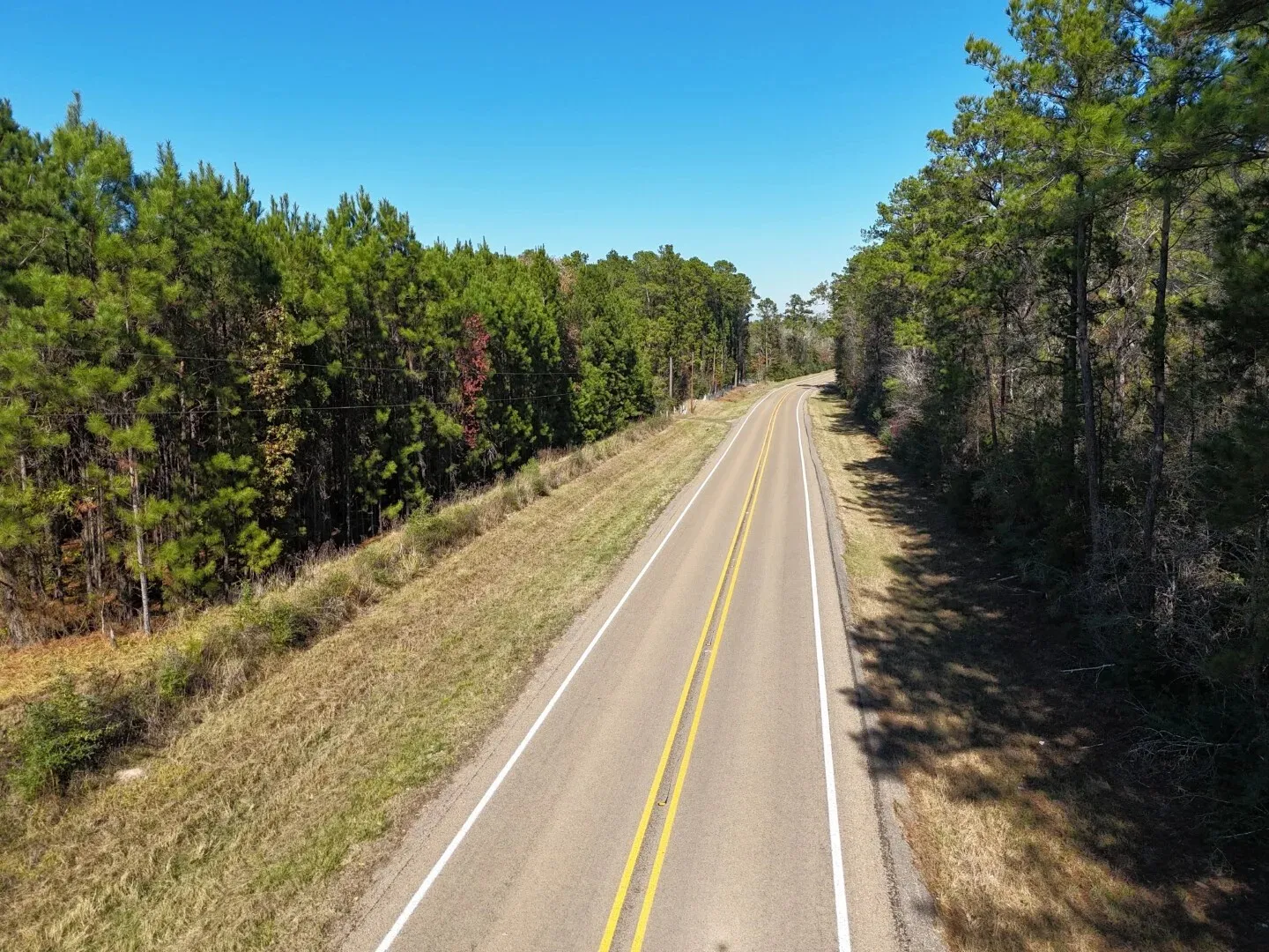 Ranch For Sale in Polk County , Lot 5 E FM 942, Corrigan, Texas 75934, 0, 0, Garage spaces, 0 Sqft, built in 0, Price $141,900, mls#21196496, Real Estate Agent in Corrigan, Homes For Sale in Polk county, Homes For Sale in Corrigan, Realtor in Corrigan Texas, Real Estate Brokerage Independent Realty Texas, Luminita Cordes Realtor