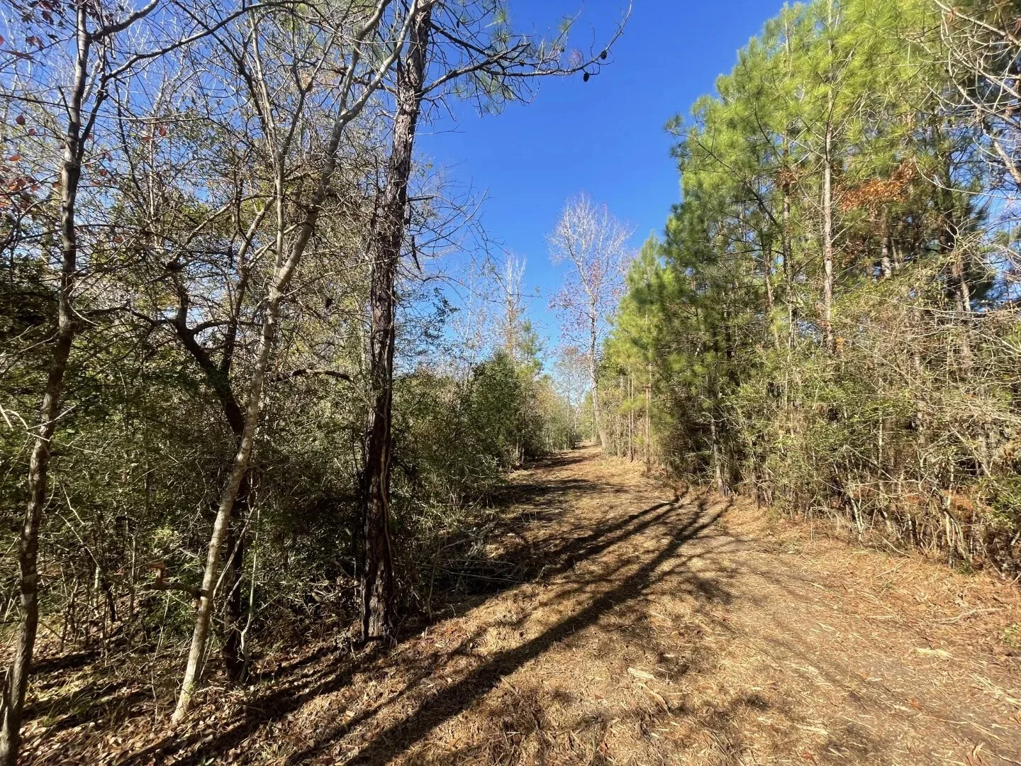 Ranch For Sale in Polk County , Lot 5 E FM 942, Corrigan, Texas 75934, 0, 0, Garage spaces, 0 Sqft, built in 0, Price $141,900, mls#21196496, Real Estate Agent in Corrigan, Homes For Sale in Polk county, Homes For Sale in Corrigan, Realtor in Corrigan Texas, Real Estate Brokerage Independent Realty Texas, Luminita Cordes Realtor