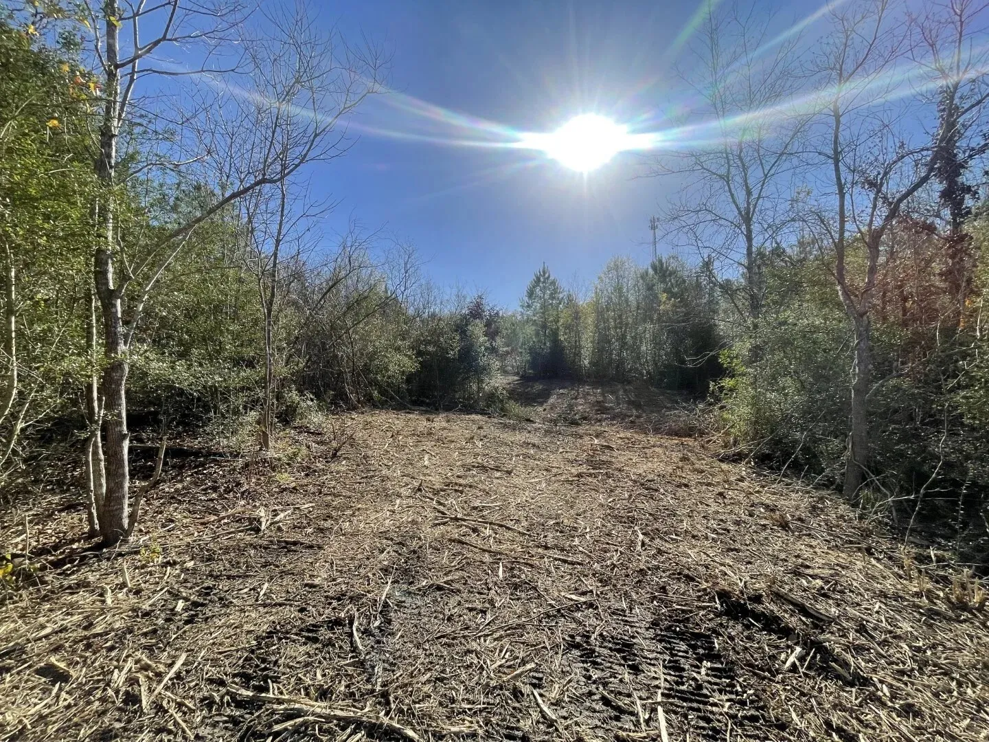 Ranch For Sale in Polk County , Lot 5 E FM 942, Corrigan, Texas 75934, 0, 0, Garage spaces, 0 Sqft, built in 0, Price $141,900, mls#21196496, Real Estate Agent in Corrigan, Homes For Sale in Polk county, Homes For Sale in Corrigan, Realtor in Corrigan Texas, Real Estate Brokerage Independent Realty Texas, Luminita Cordes Realtor