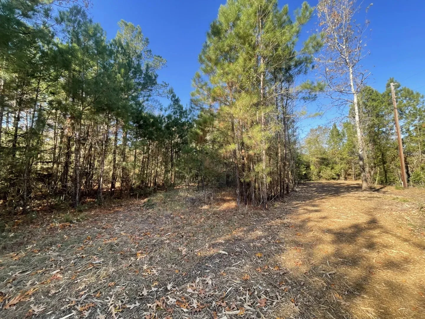 Ranch For Sale in Polk County , Lot 5 E FM 942, Corrigan, Texas 75934, 0, 0, Garage spaces, 0 Sqft, built in 0, Price $141,900, mls#21196496, Real Estate Agent in Corrigan, Homes For Sale in Polk county, Homes For Sale in Corrigan, Realtor in Corrigan Texas, Real Estate Brokerage Independent Realty Texas, Luminita Cordes Realtor